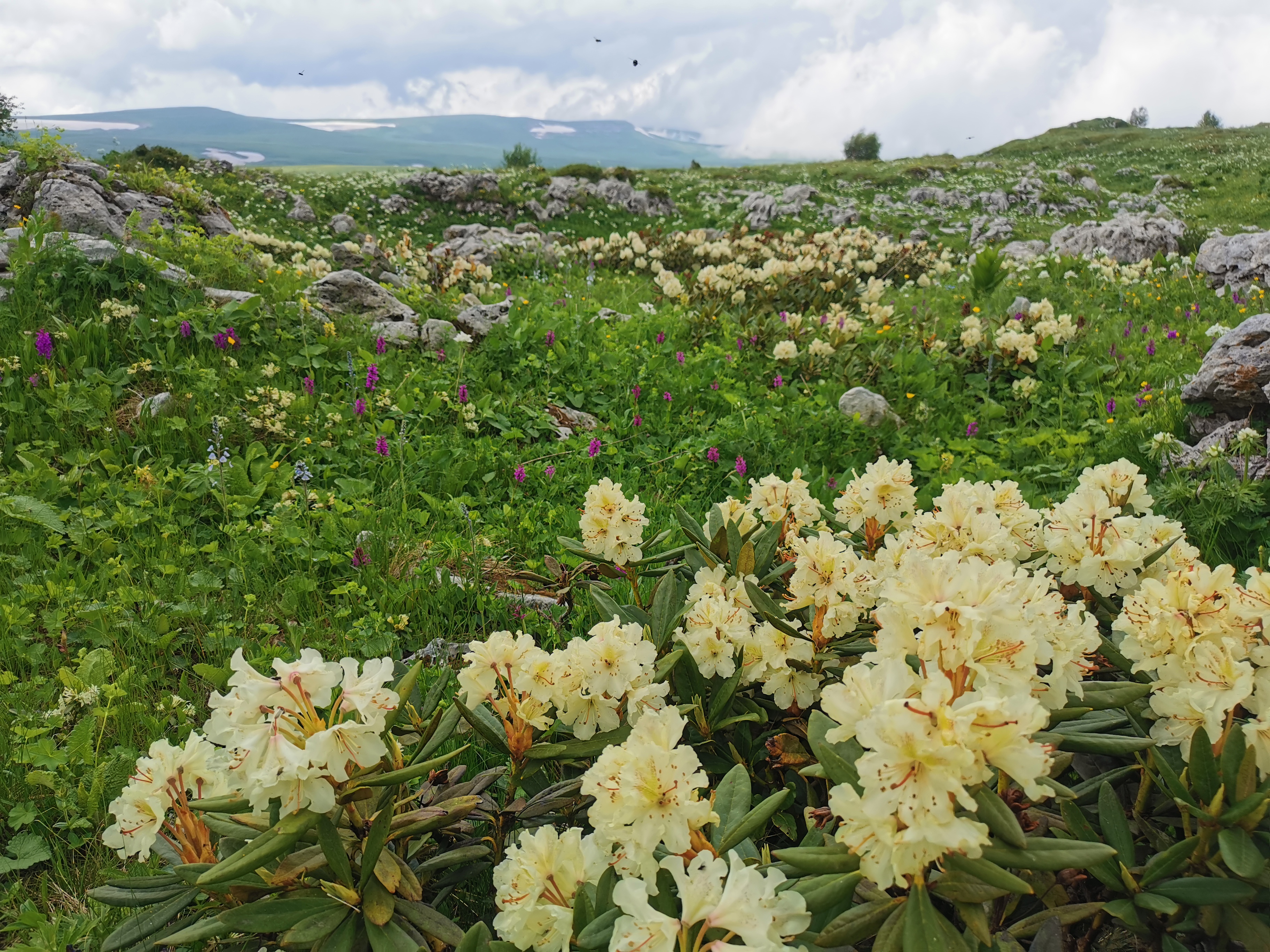 Тур 30й экспресс + Мультиактив / 2026 (25/46)