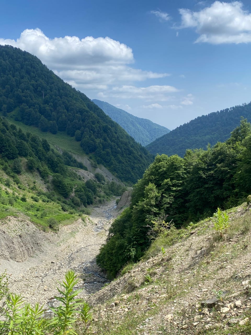 Азербайджан за 2 дня: от Лагича до горы Туфандаг, винные дегустации, альпаки канатка (24/41)
