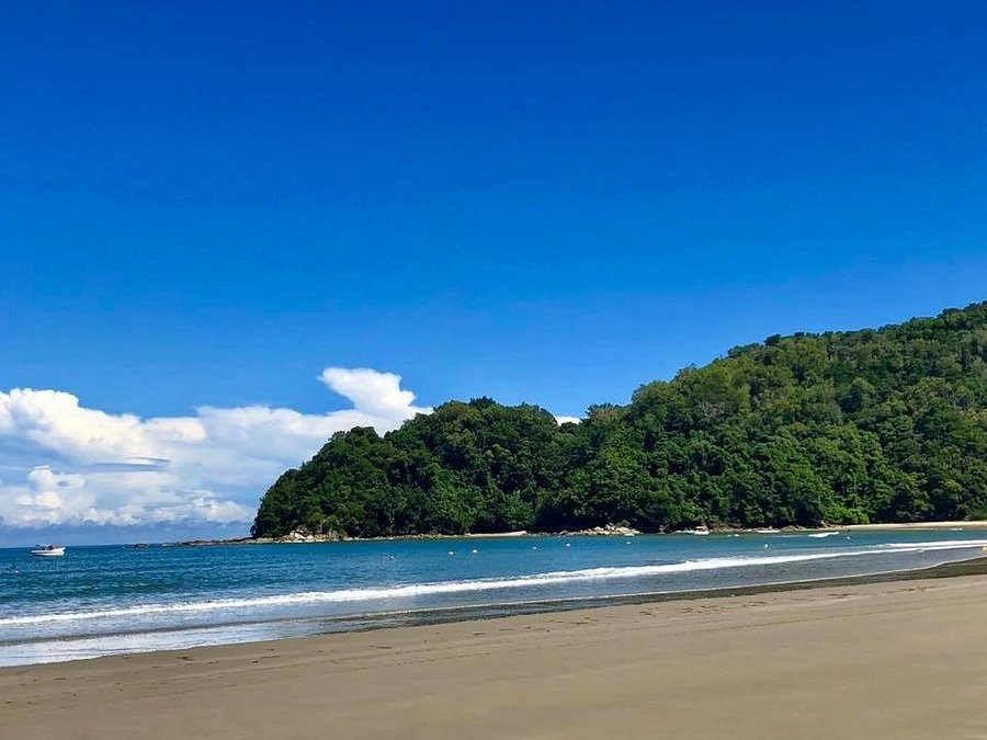 Орангутаны Борнео и Суматры (30/40)