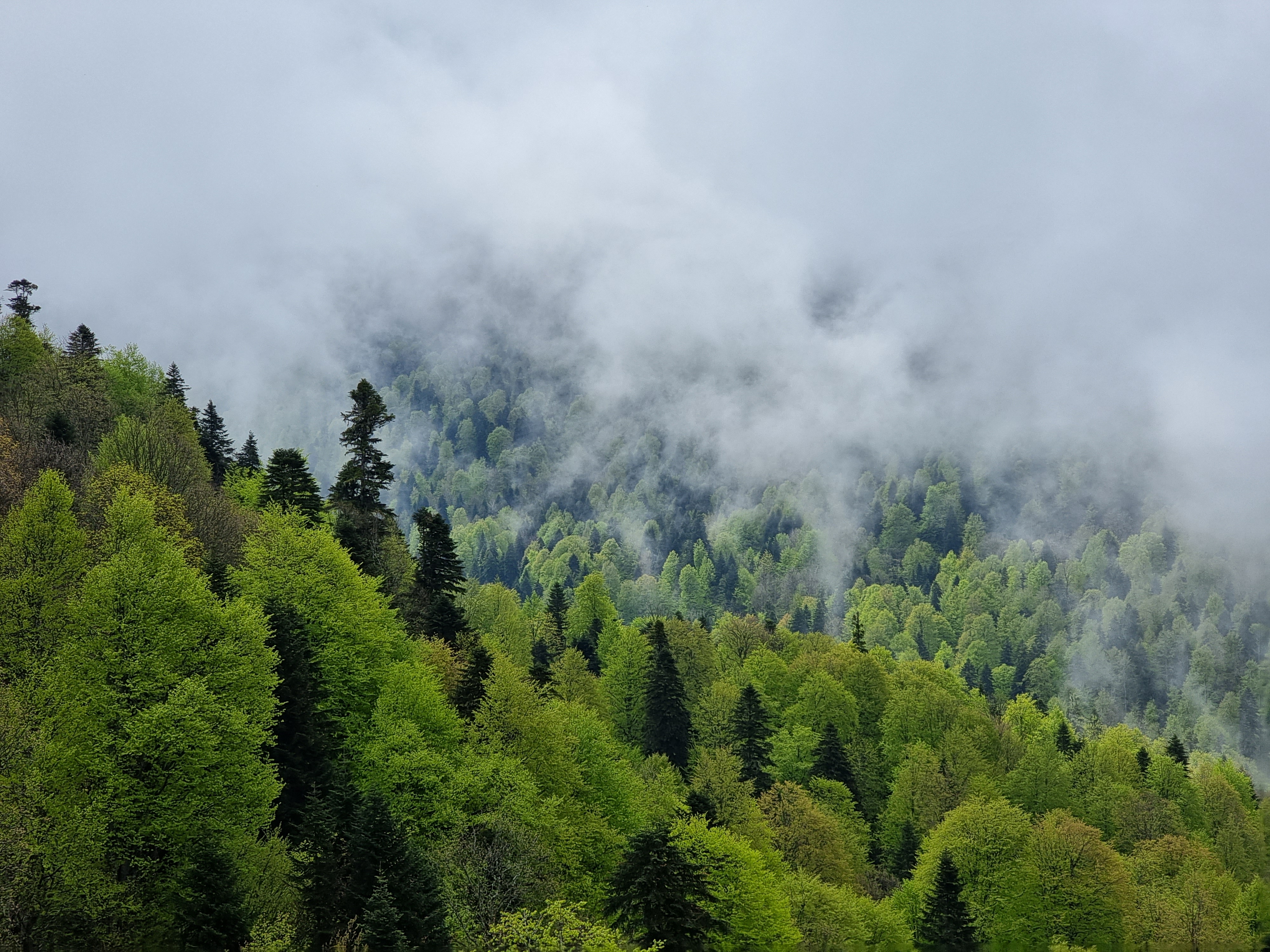 Территория детства. Весна 2026 (38/78)