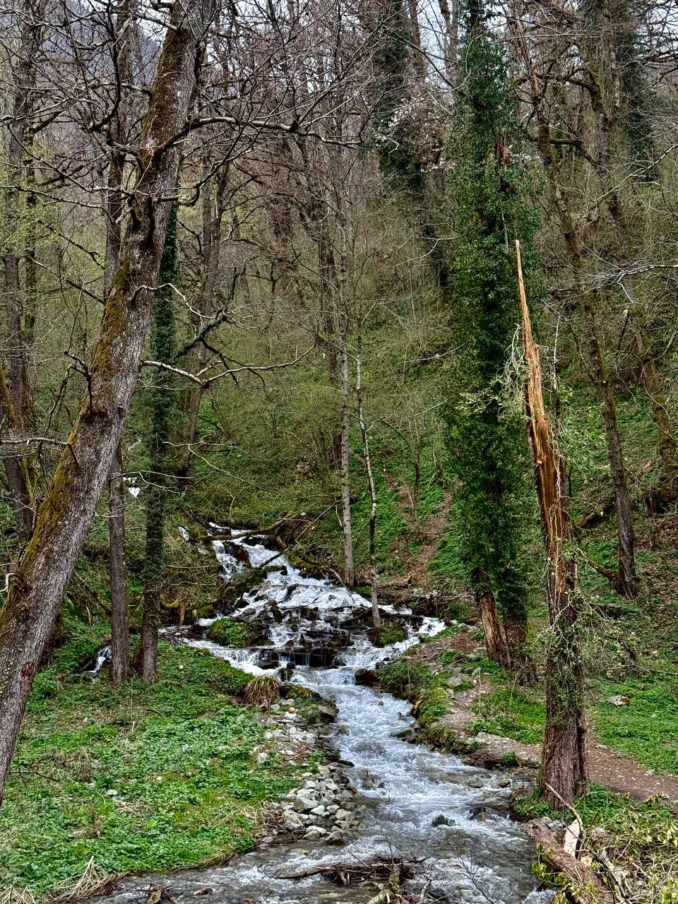 Велнесс в горах Красной Поляны: пилатес, спа, хайкинг и all in! (19/38)