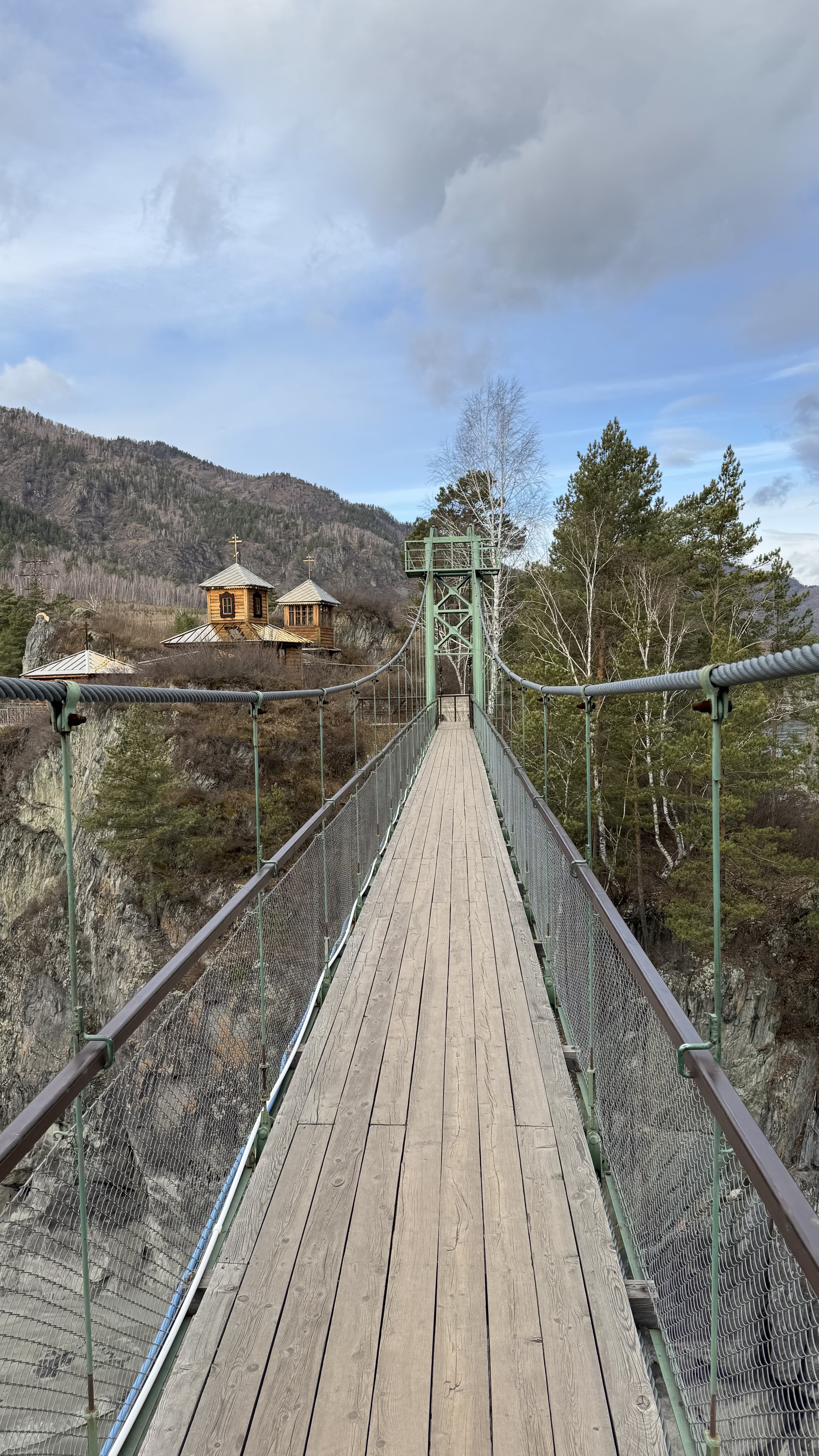 Цветение маральника