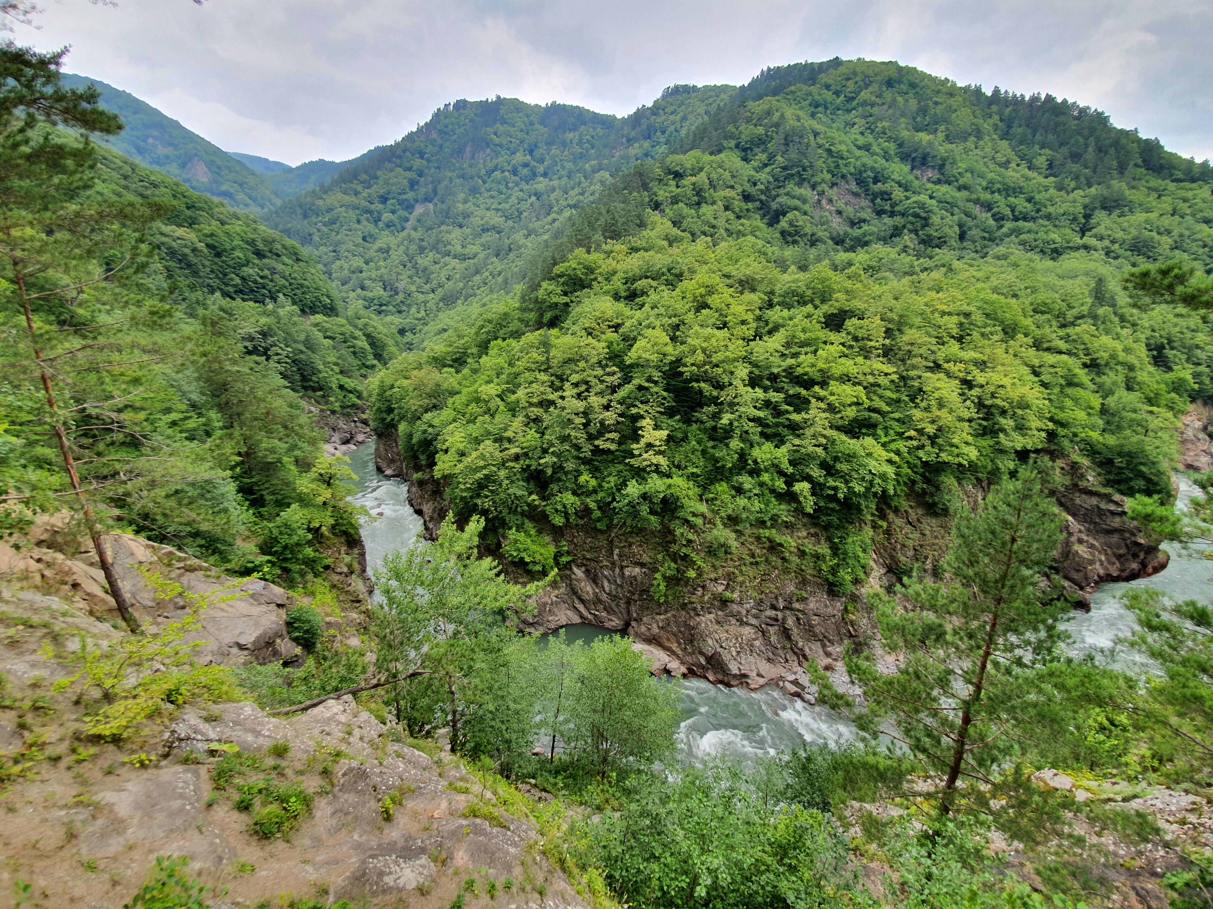 Территория детства. Весна 2026 (44/78)