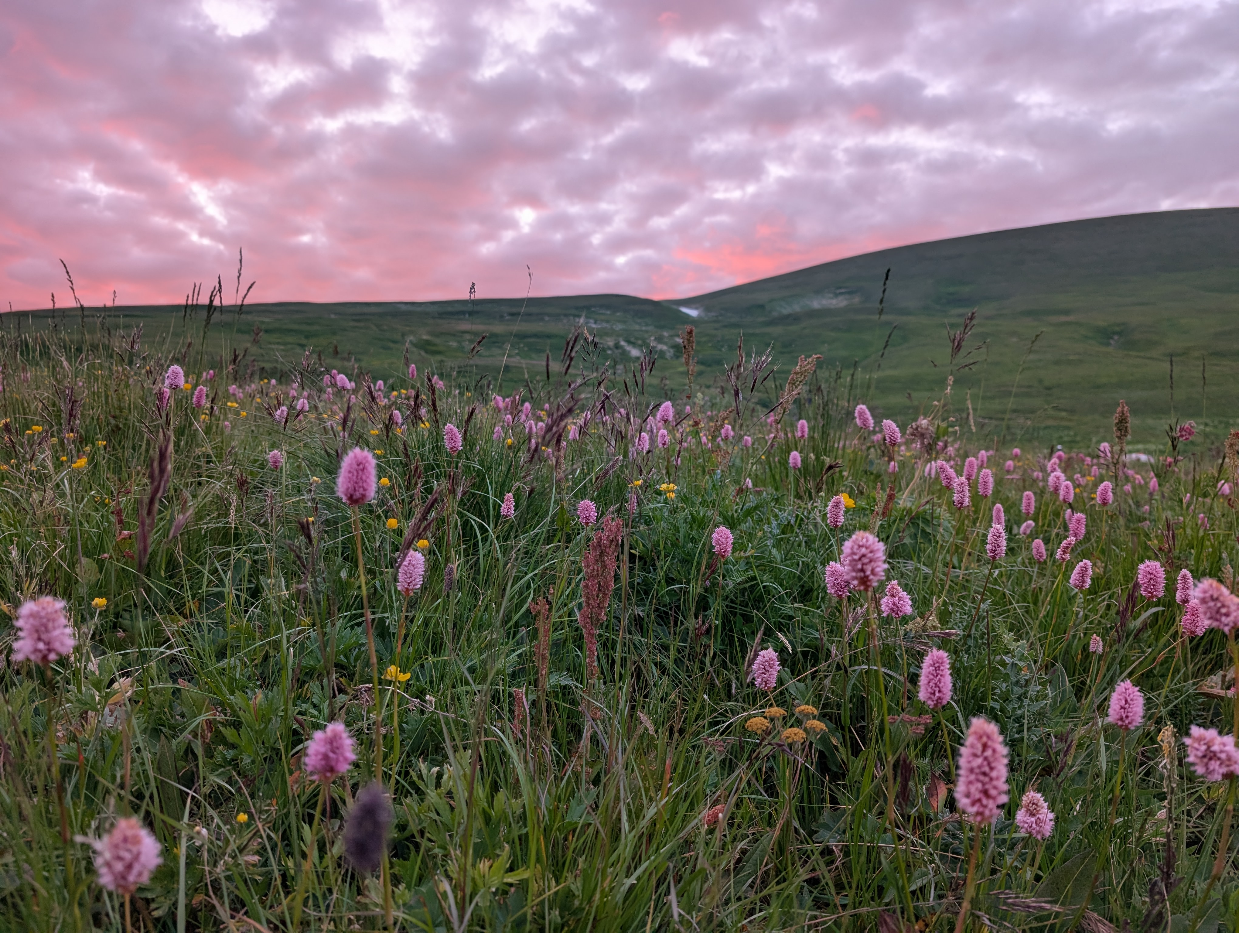 30й экспресс. Через горы к морю. Восхождение г. Оштен (21/36)
