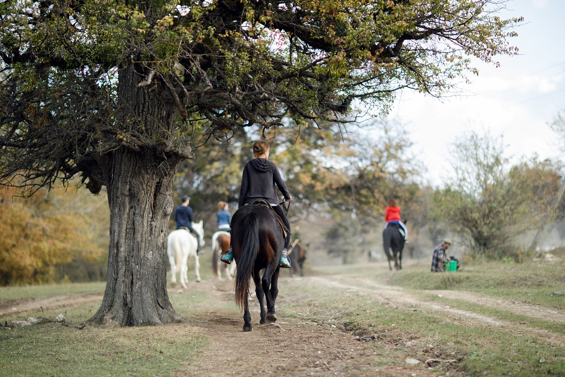 Территория детства. Весна 2026 (77/78)