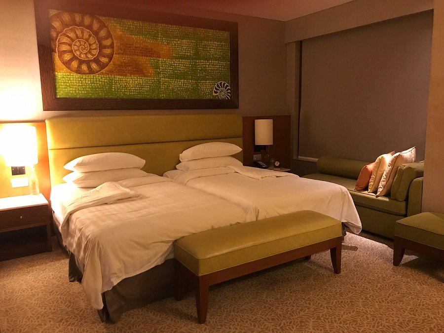 Орангутаны Борнео и Суматры (29/40)