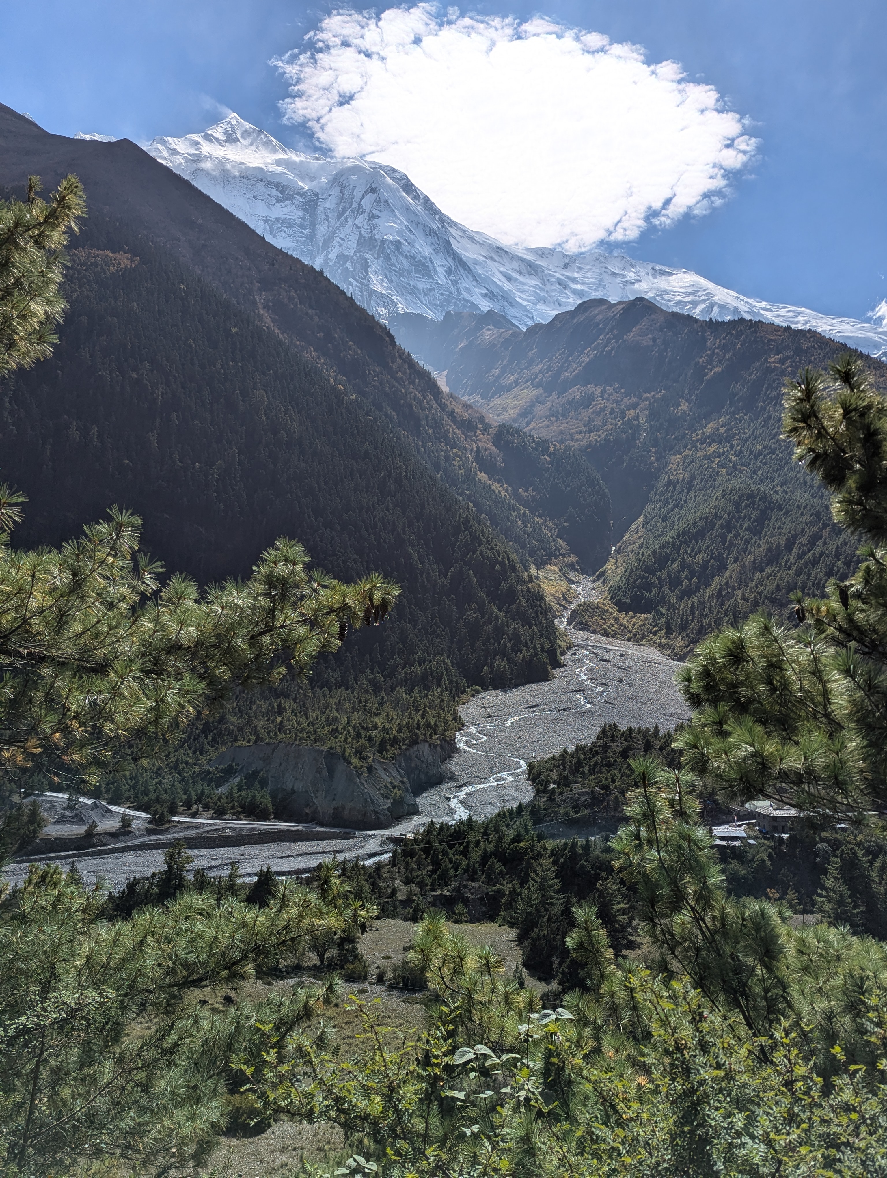 Трек Кольцо Аннапурны (3/42)