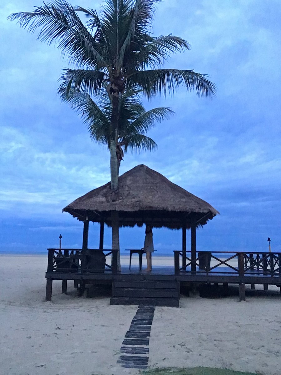 Орангутаны Борнео и Суматры (40/40)