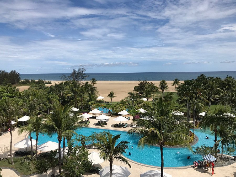 Орангутаны Борнео и Суматры (31/40)