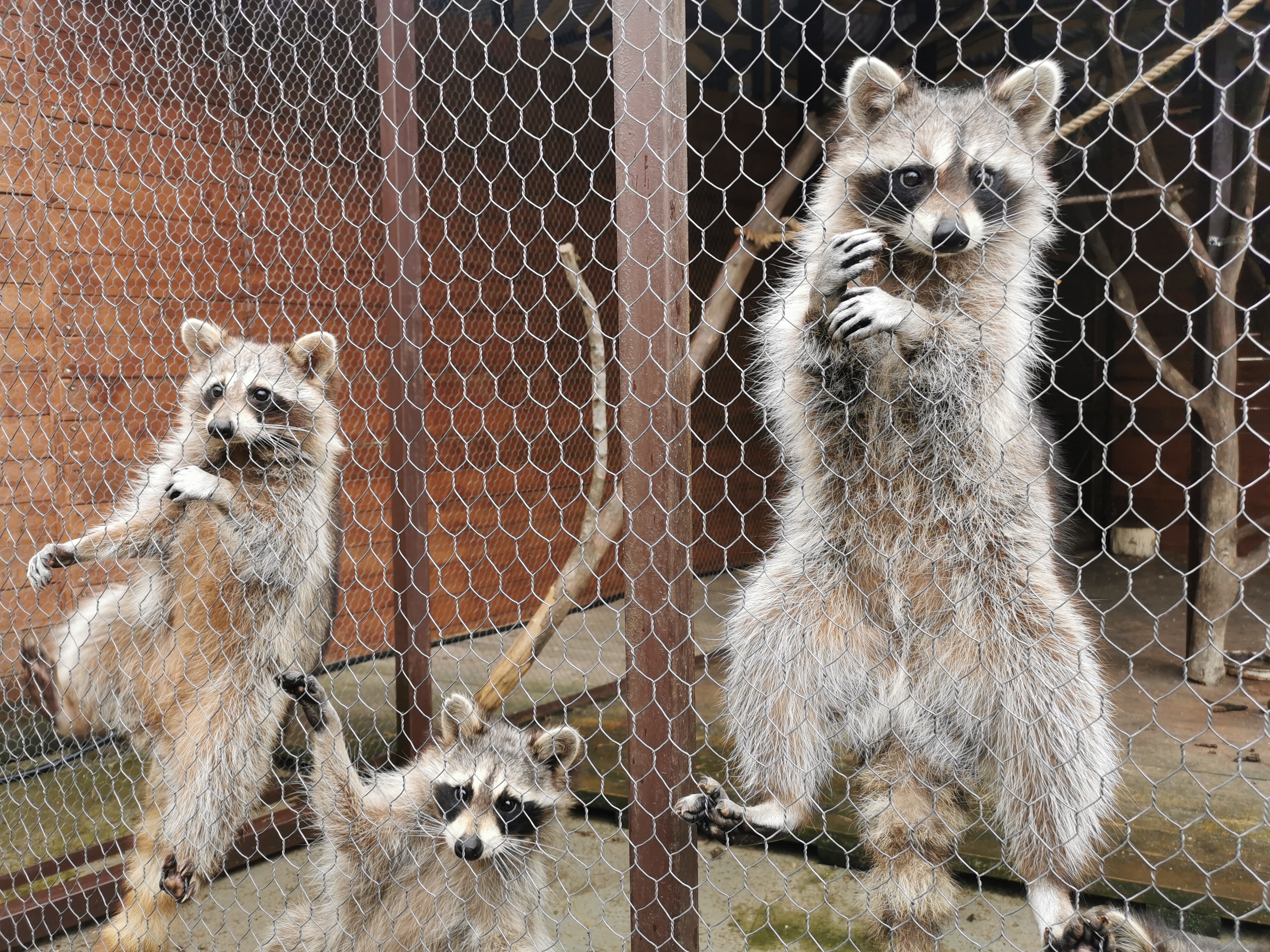 Территория детства. Весна 2026 (43/78)