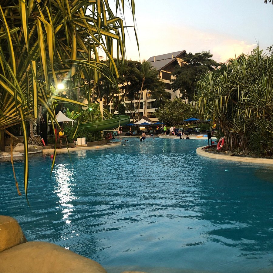 Орангутаны Борнео и Суматры (34/40)