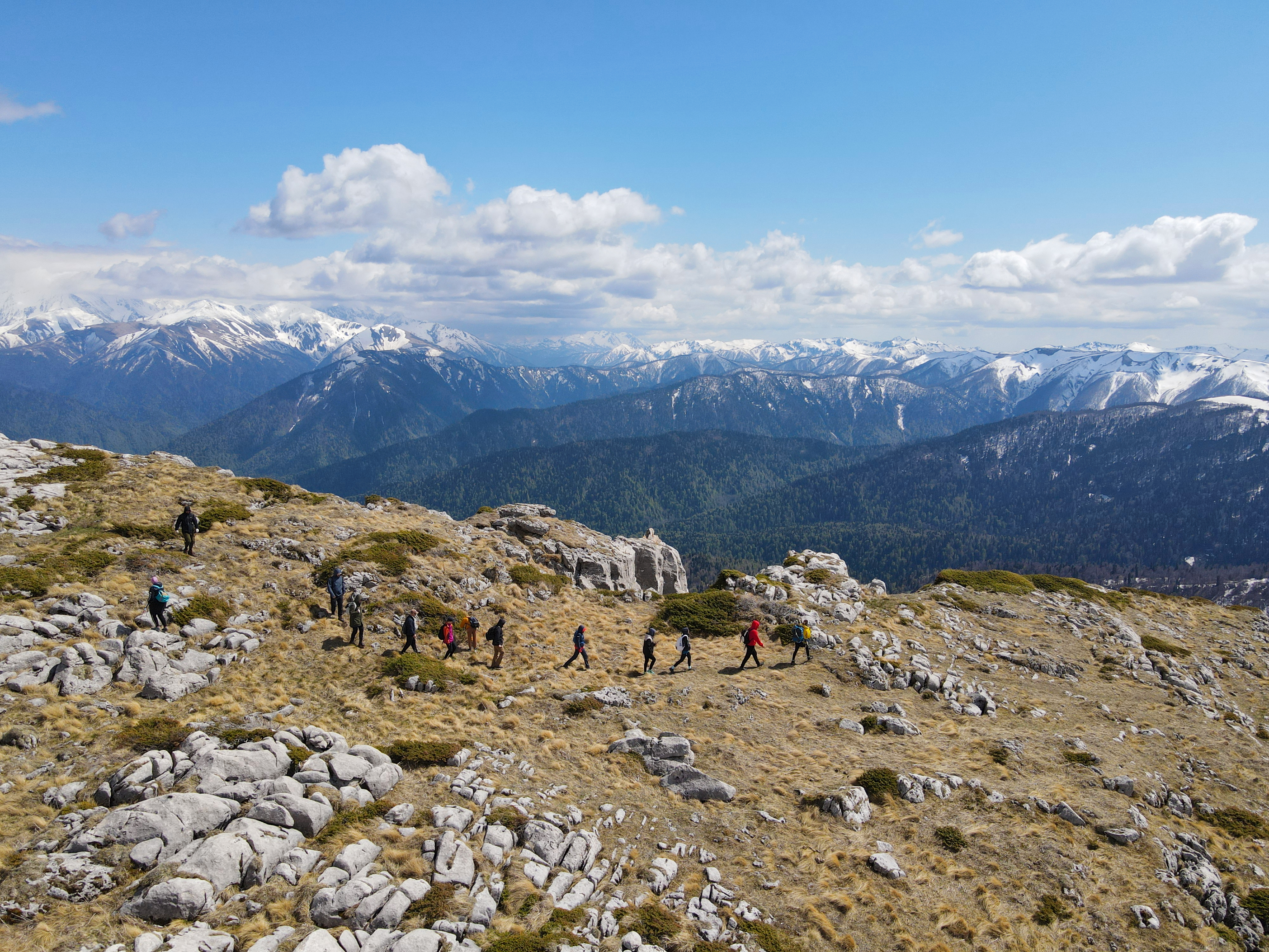 Территория детства. Весна 2026 (63/78)