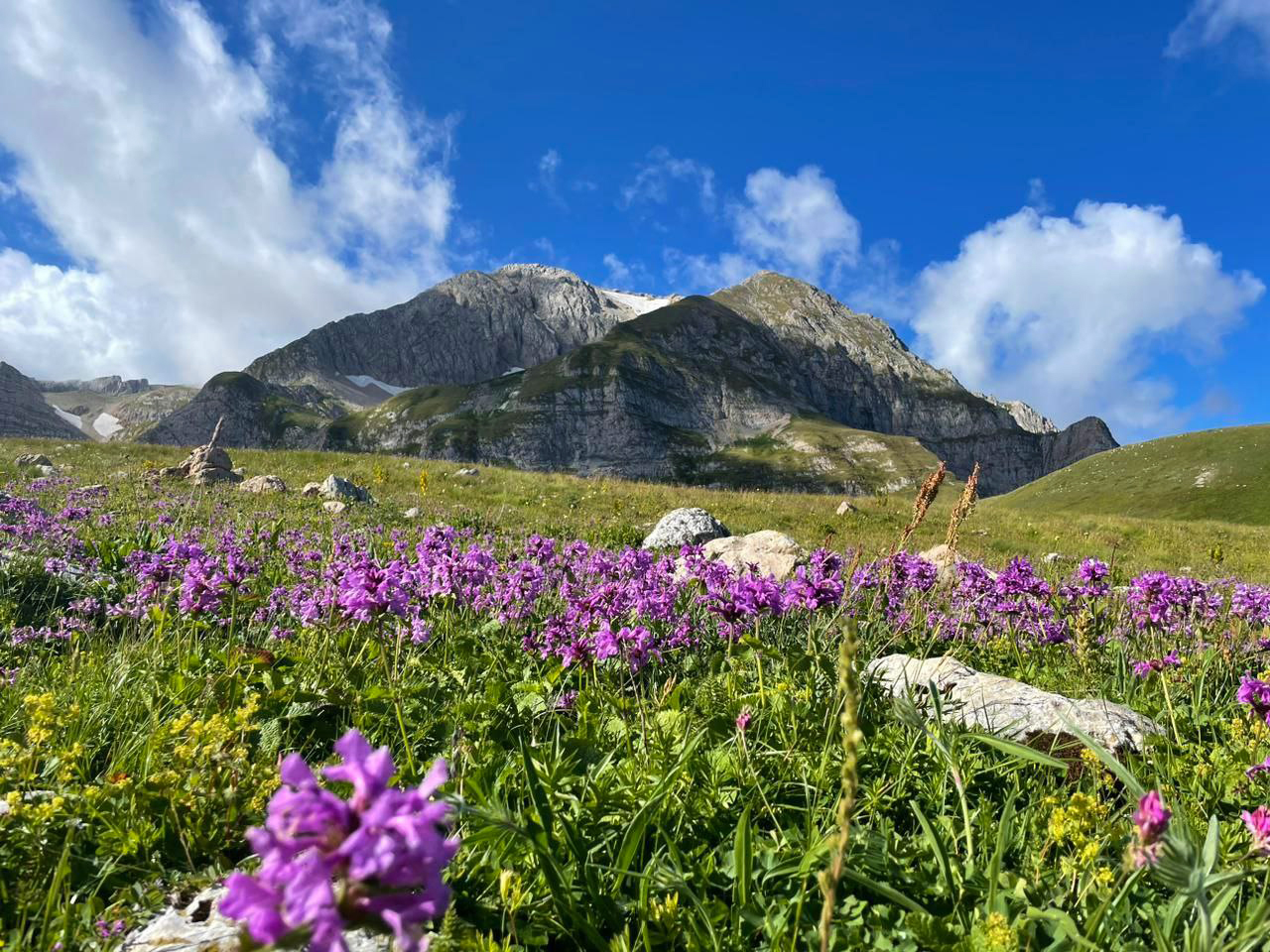 Тур 30й экспресс + Мультиактив / 2026 (32/46)