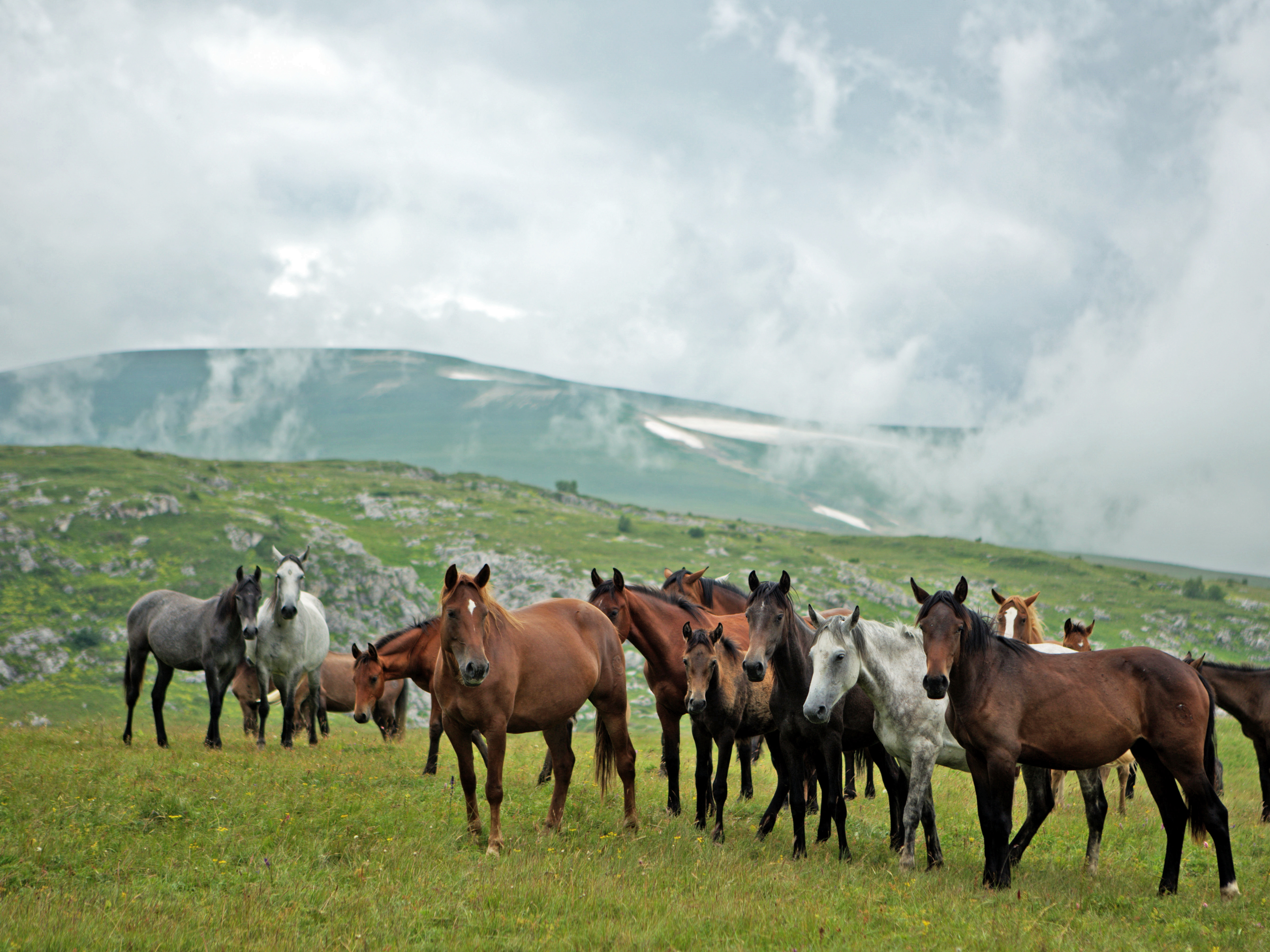 Маршрут по территории Кавказского заповедника