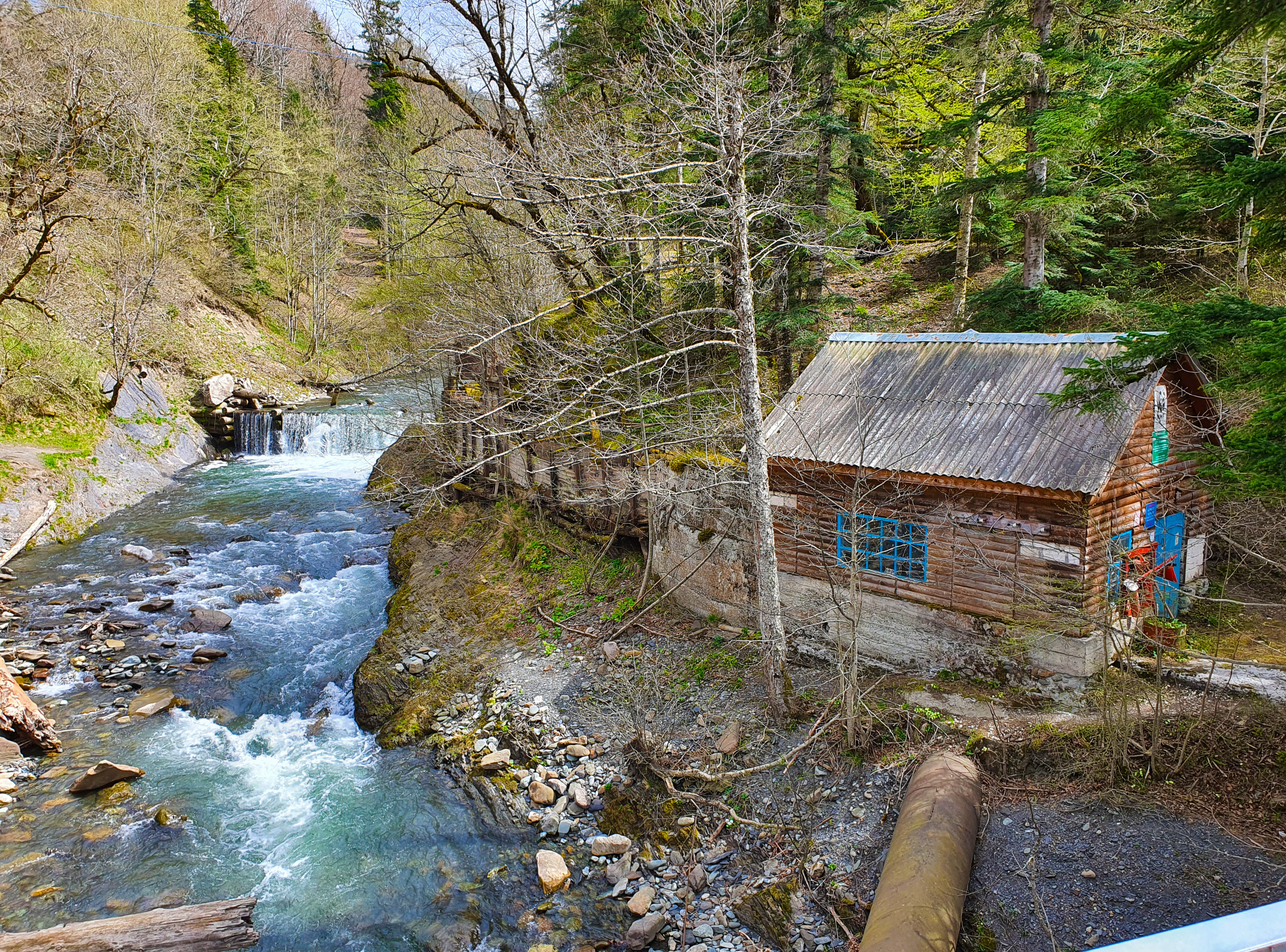 Территория детства. Весна 2026 (58/78)