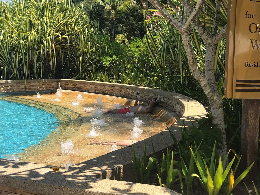 Орангутаны Борнео и Суматры (37/40)