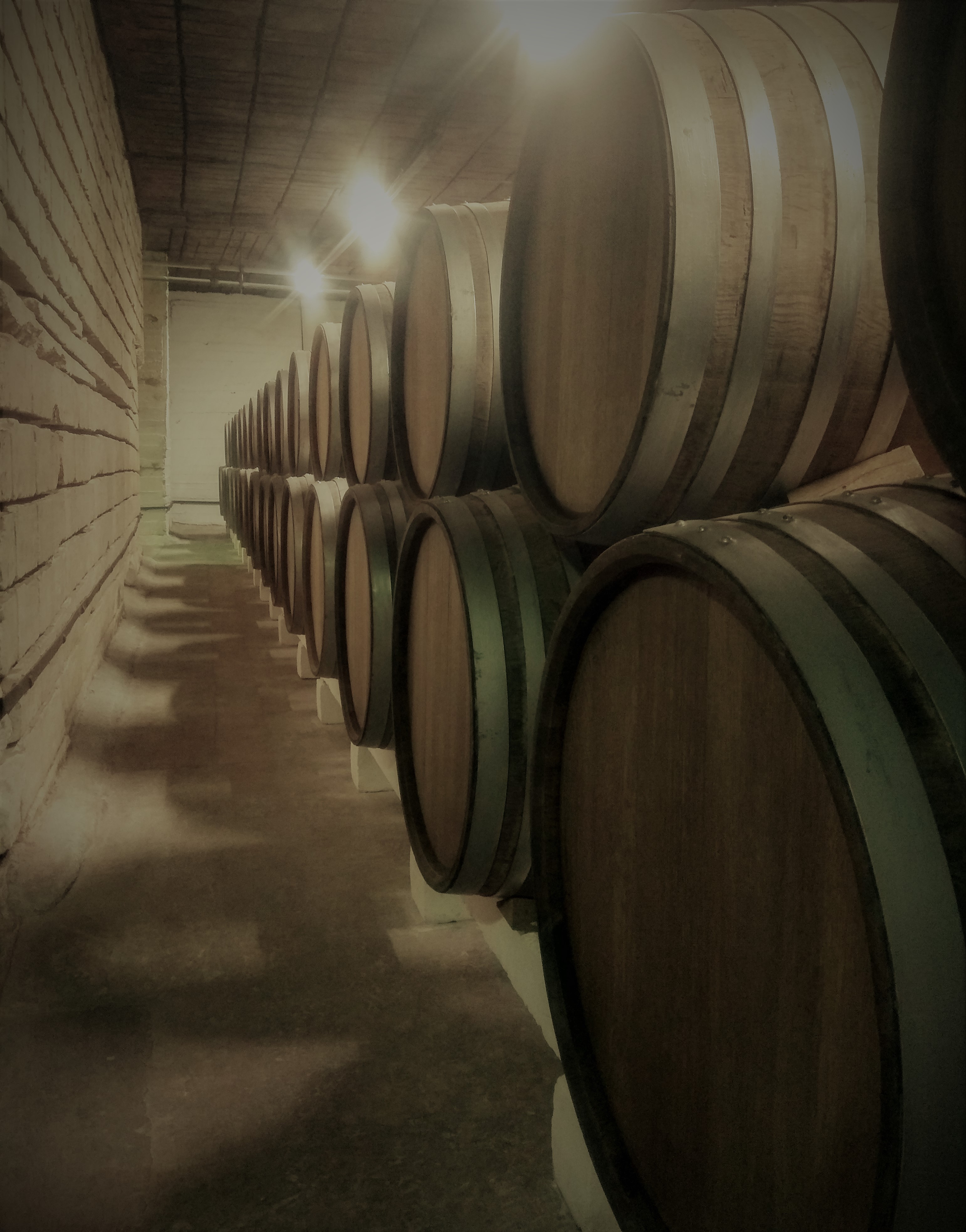 Мульти тур скалы и старые города Крыма (5/20)