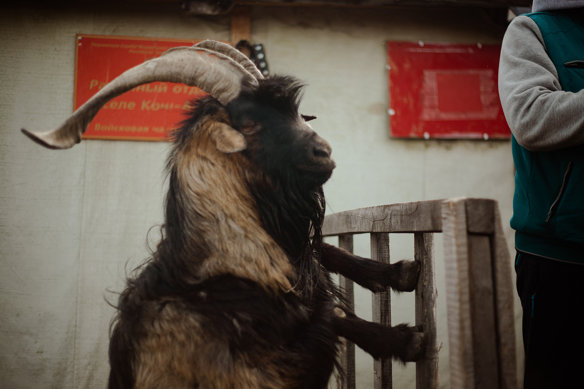 Знакомство с Алтаем 2026 - Гейзерное озеро, Марс, Чуйский тракт, Катунь, снежные горы (41/44)