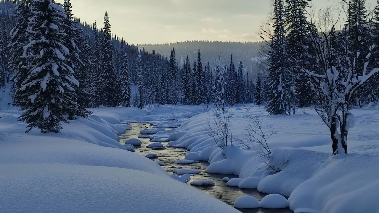 Каракольские озёра на снегоступах. 5 дней в горах Алтая (2/17)