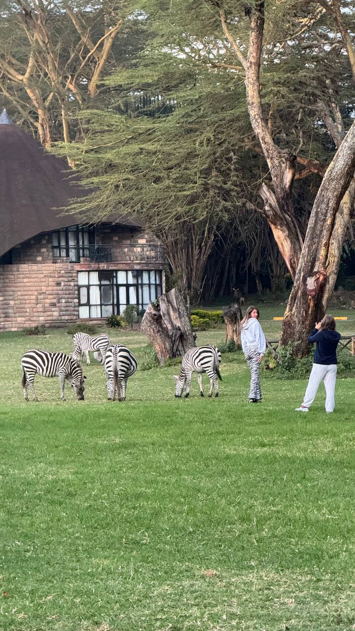 Кения. 10 дней:3 Нац парка,3 гостиницы с животными+3 дня на океане. Группа-6 человек