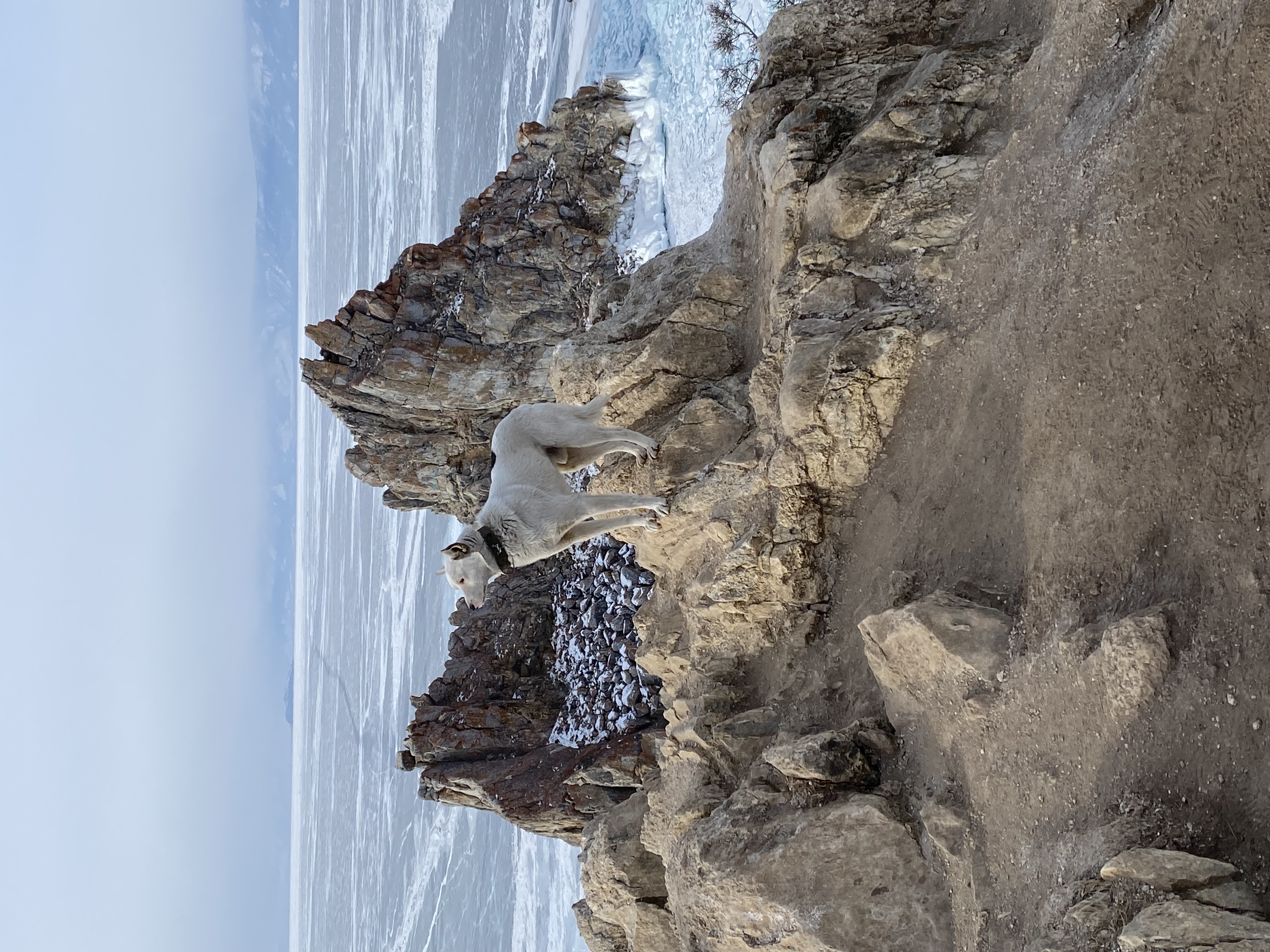 Байкал. 2 Берега Большого моря (39/90)