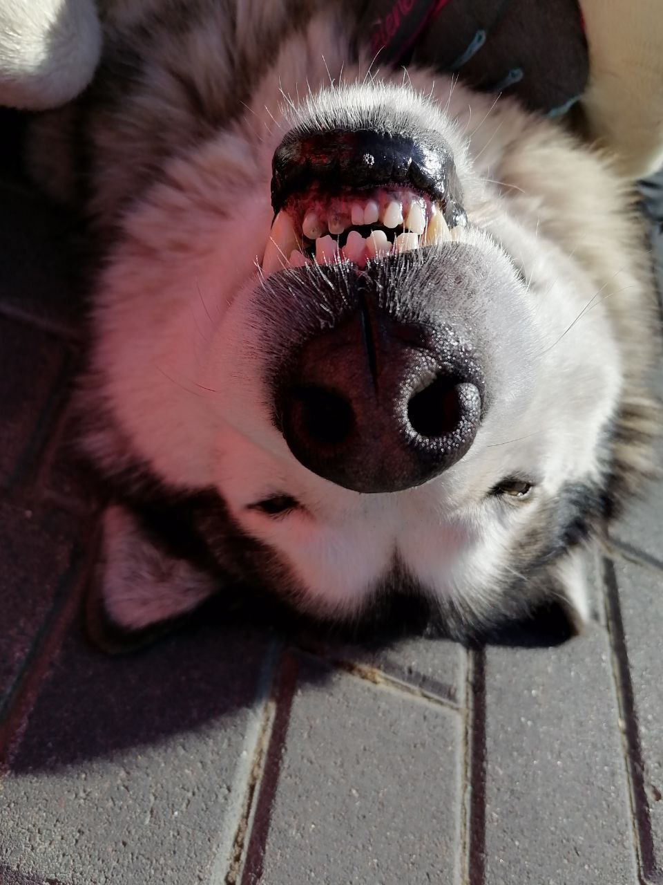 Байкал. 2 Берега Большого моря (61/90)