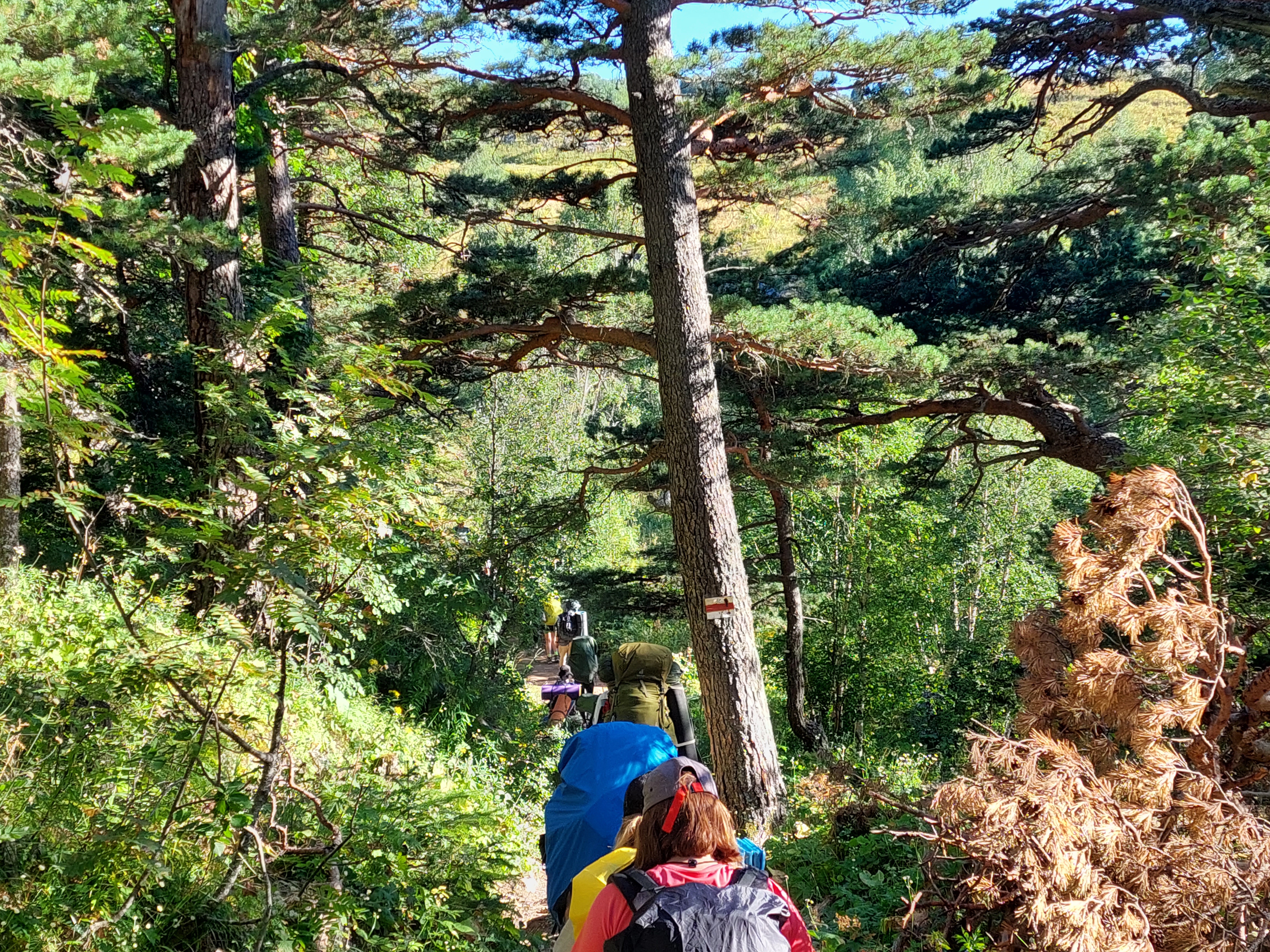 Трехдневный поход:  гора Оштен в Адыгее + термоисточники (3/26)
