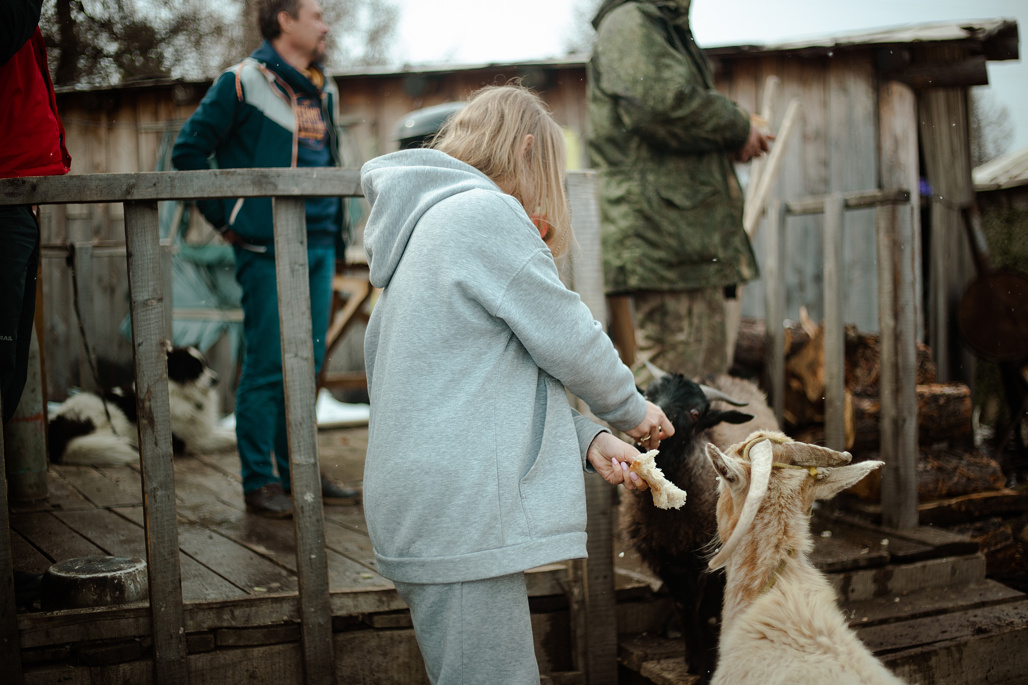 Знакомство с Алтаем 2026 - Гейзерное озеро, Марс, Чуйский тракт, Катунь, снежные горы (39/44)