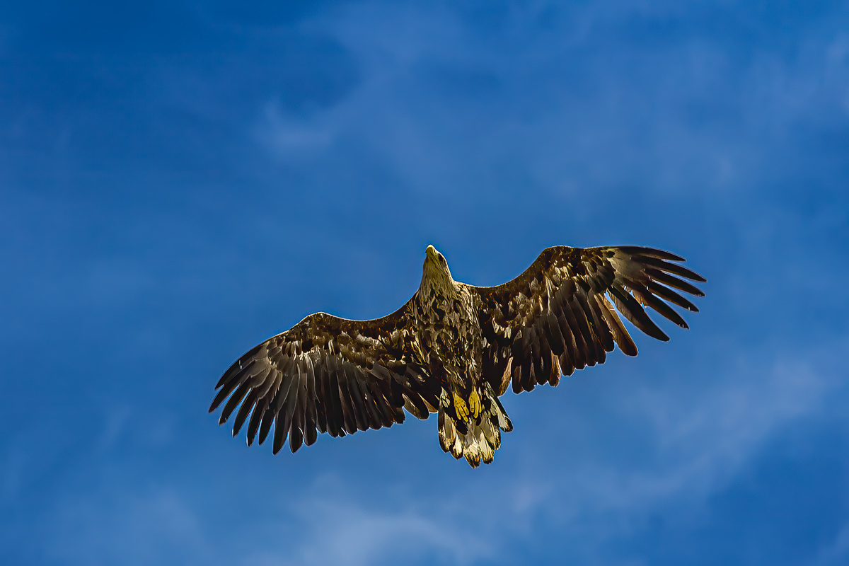 Три вулкана Курильских островов. Путешествие на другую планету (80/138)