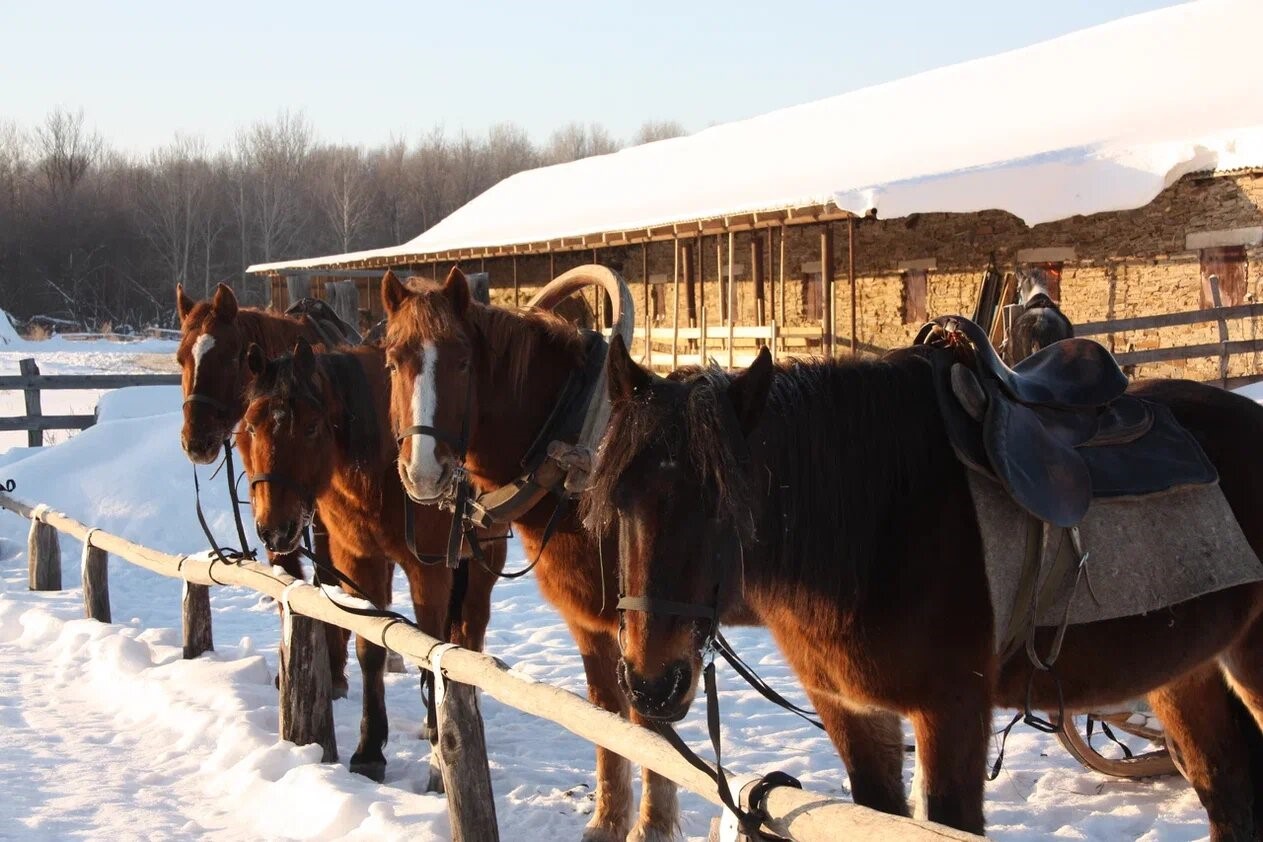 На родину башкирских поэтов (4/7)