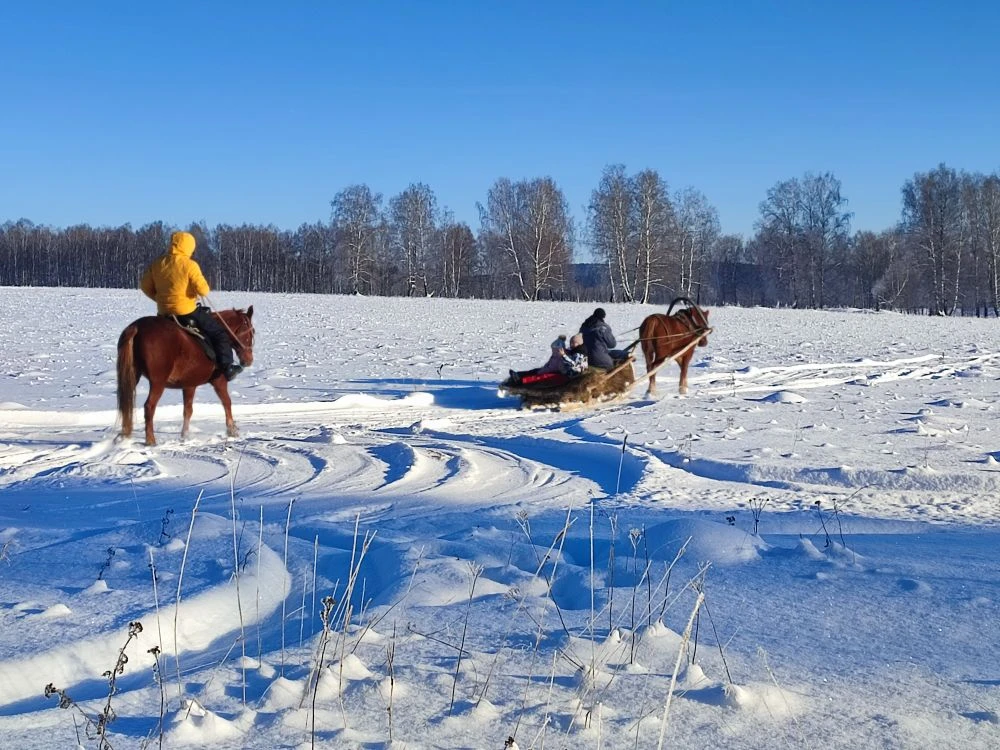 В гостях у геопарка Янган-Тау: местный колорит и лошади