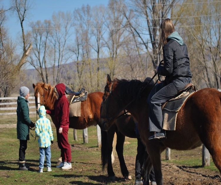 В гости к жеребятам (2/13)