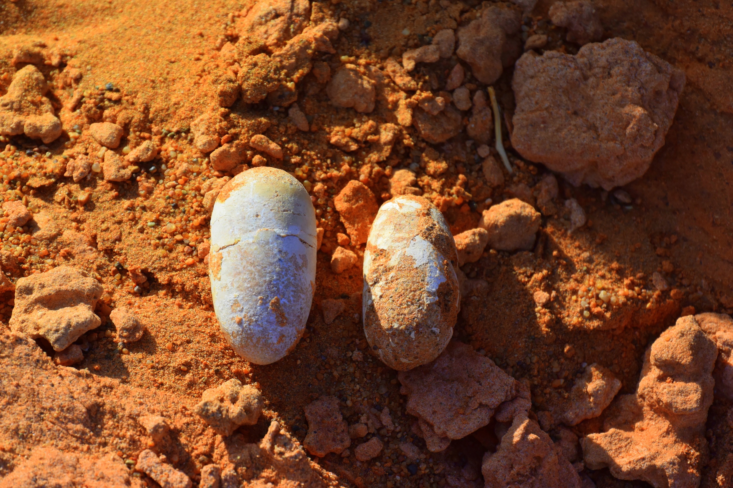 Монголия. Там, где горизонт бесконечен (7/12)