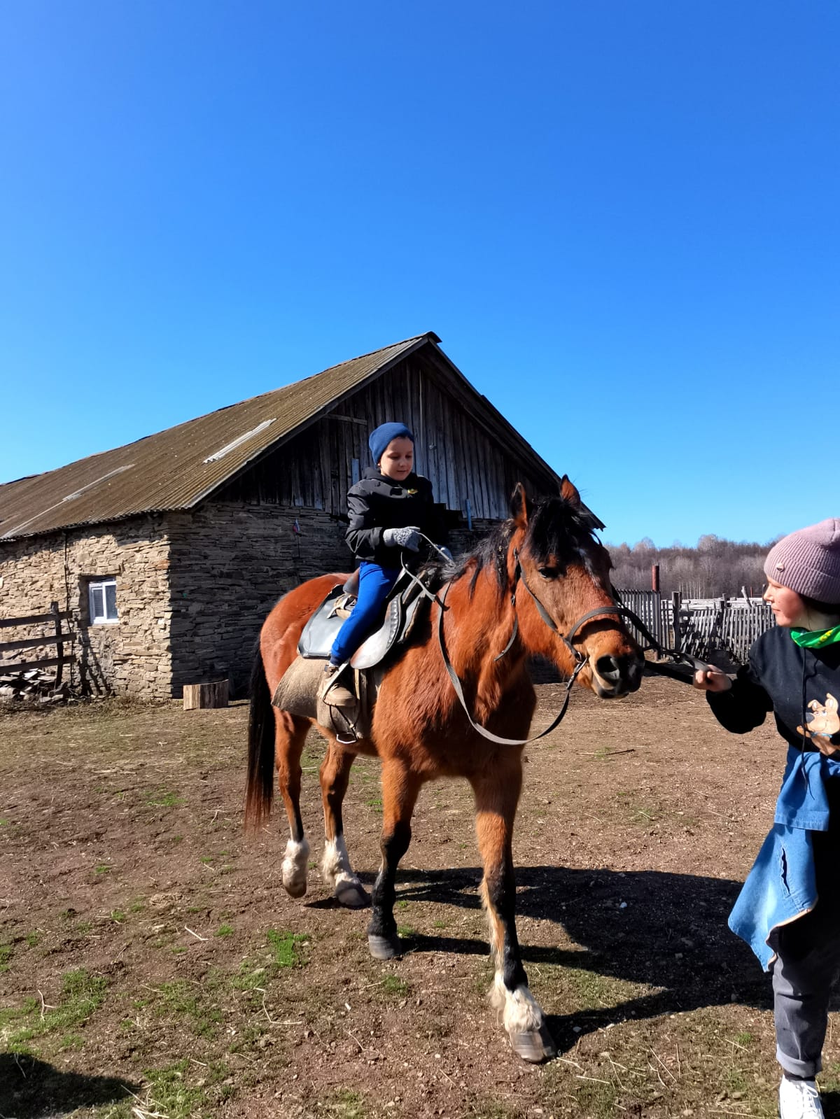 В гости к жеребятам (11/13)