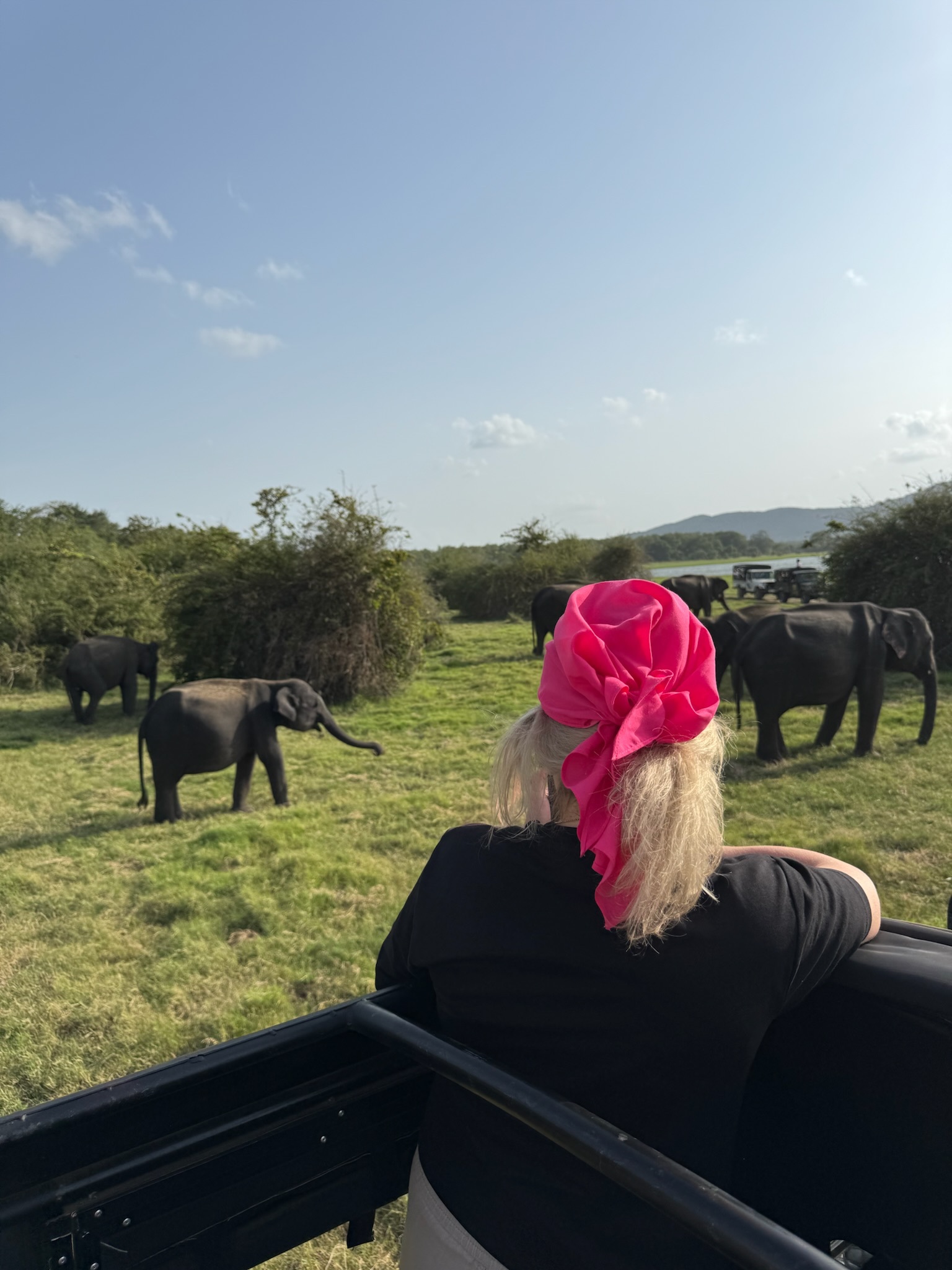 Канди, ботанический сад, джип сафари со слонами