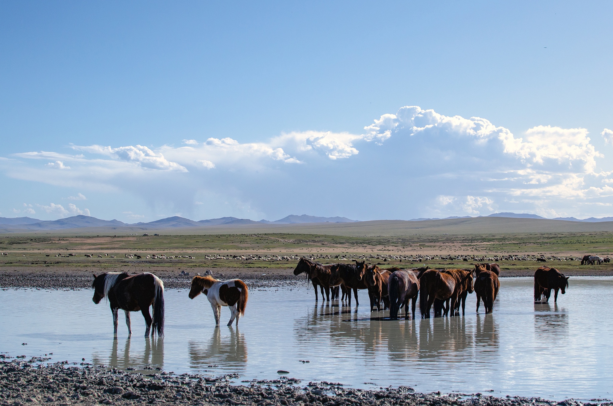 Монголия. Там, где горизонт бесконечен (6/12)