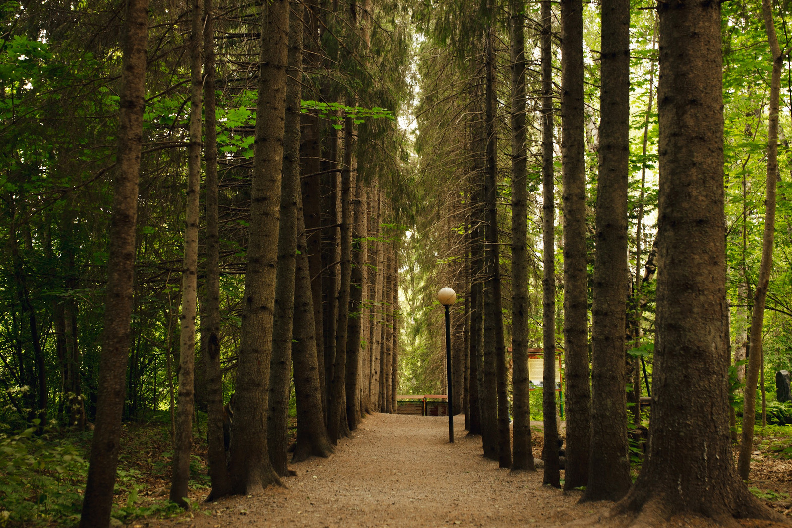 На 3 Дня В Карелию! (12/19)