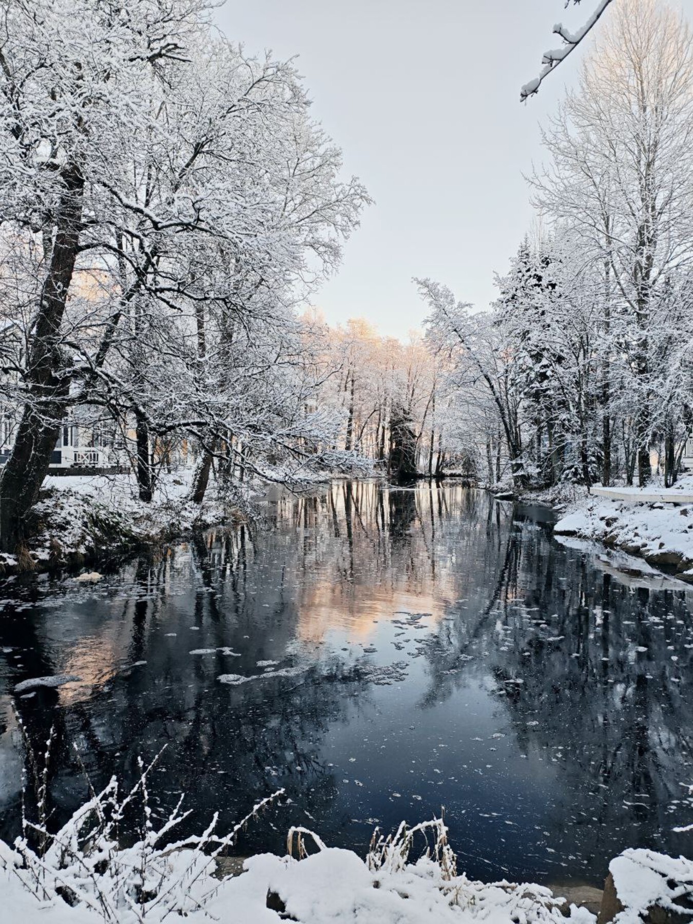 Вкус истории, аромат сыра, душа усадьбы!