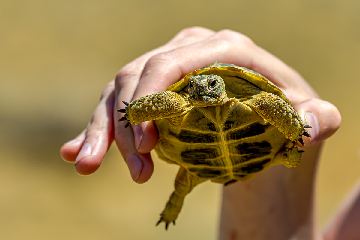 Комфортный Мангистау. Путешествие на другую планету (28/127)