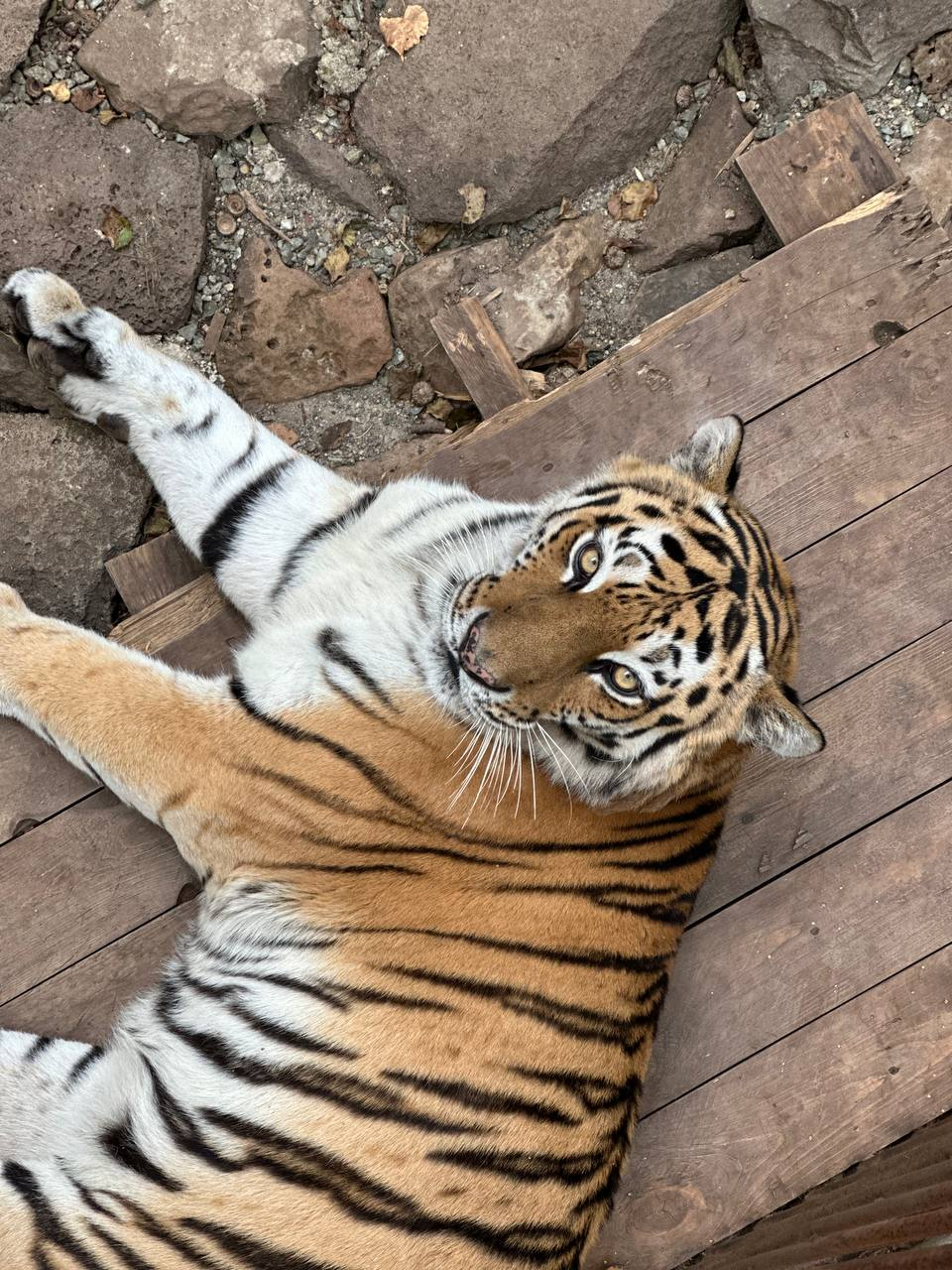 Владивосток и Приморье: свидание с океаном (22/30)