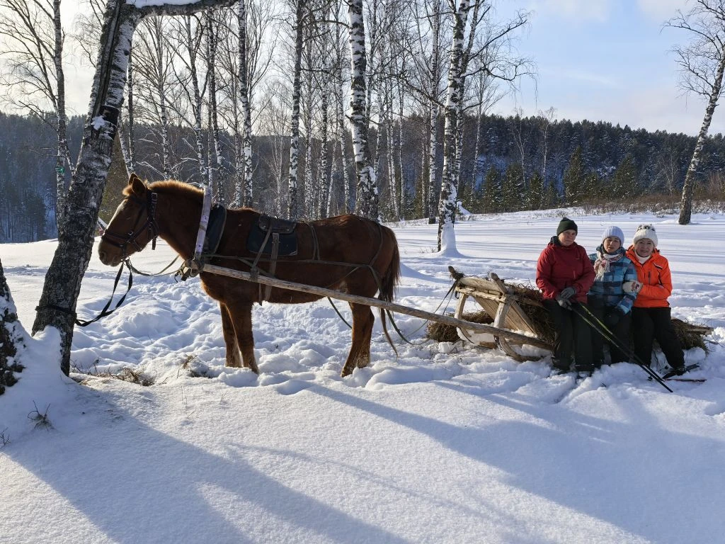 В гостях у геопарка Янган-Тау: местный колорит и лошади (5/17)
