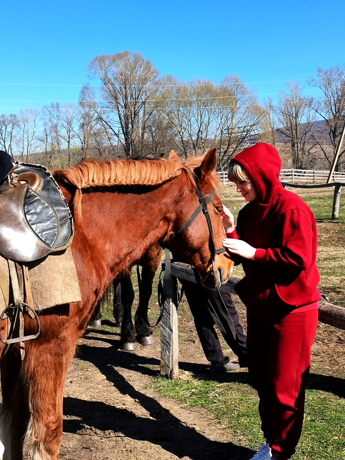 В гости к жеребятам (10/13)