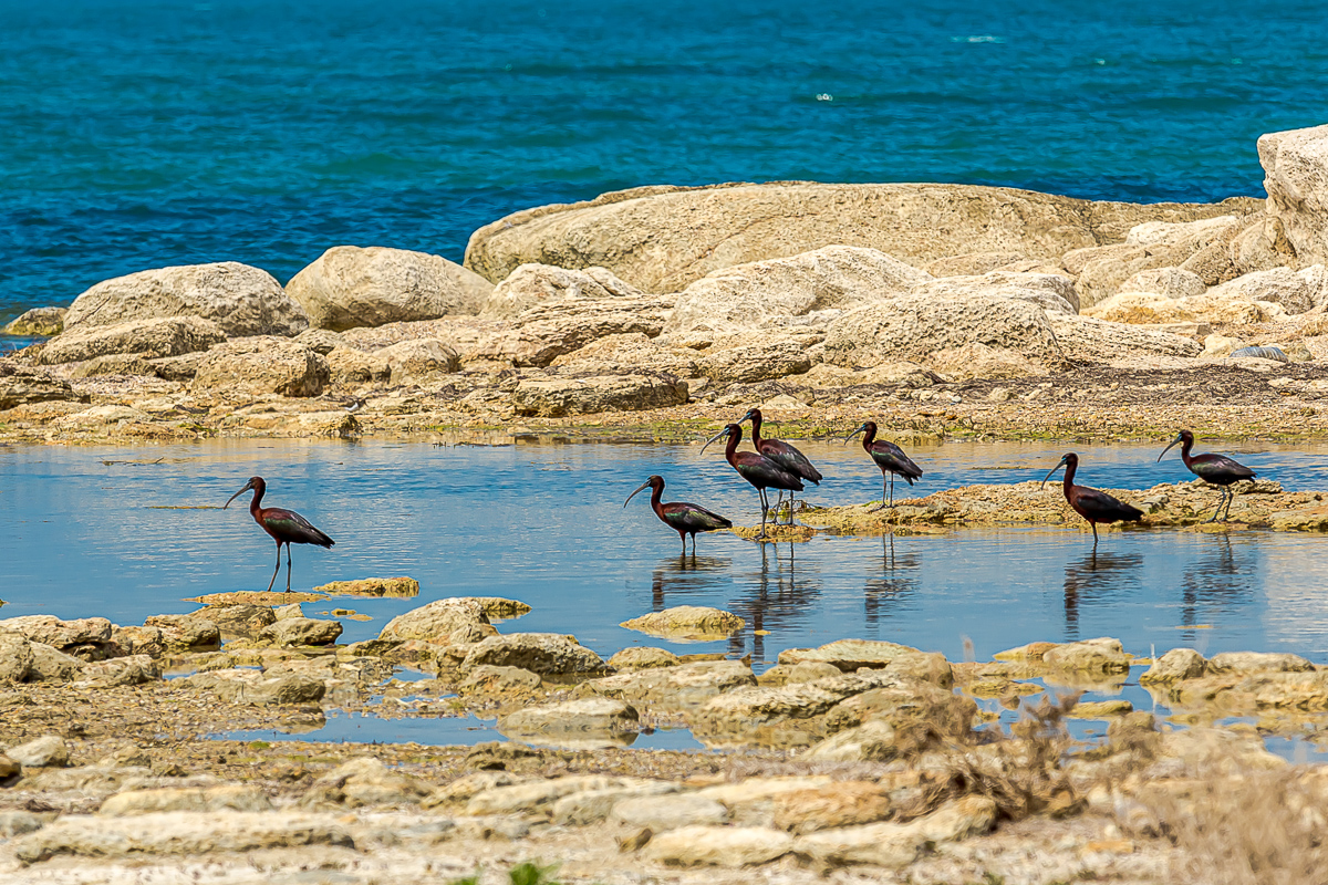 Великолепный Мангистау. Путешествие на другую планету (29/135)