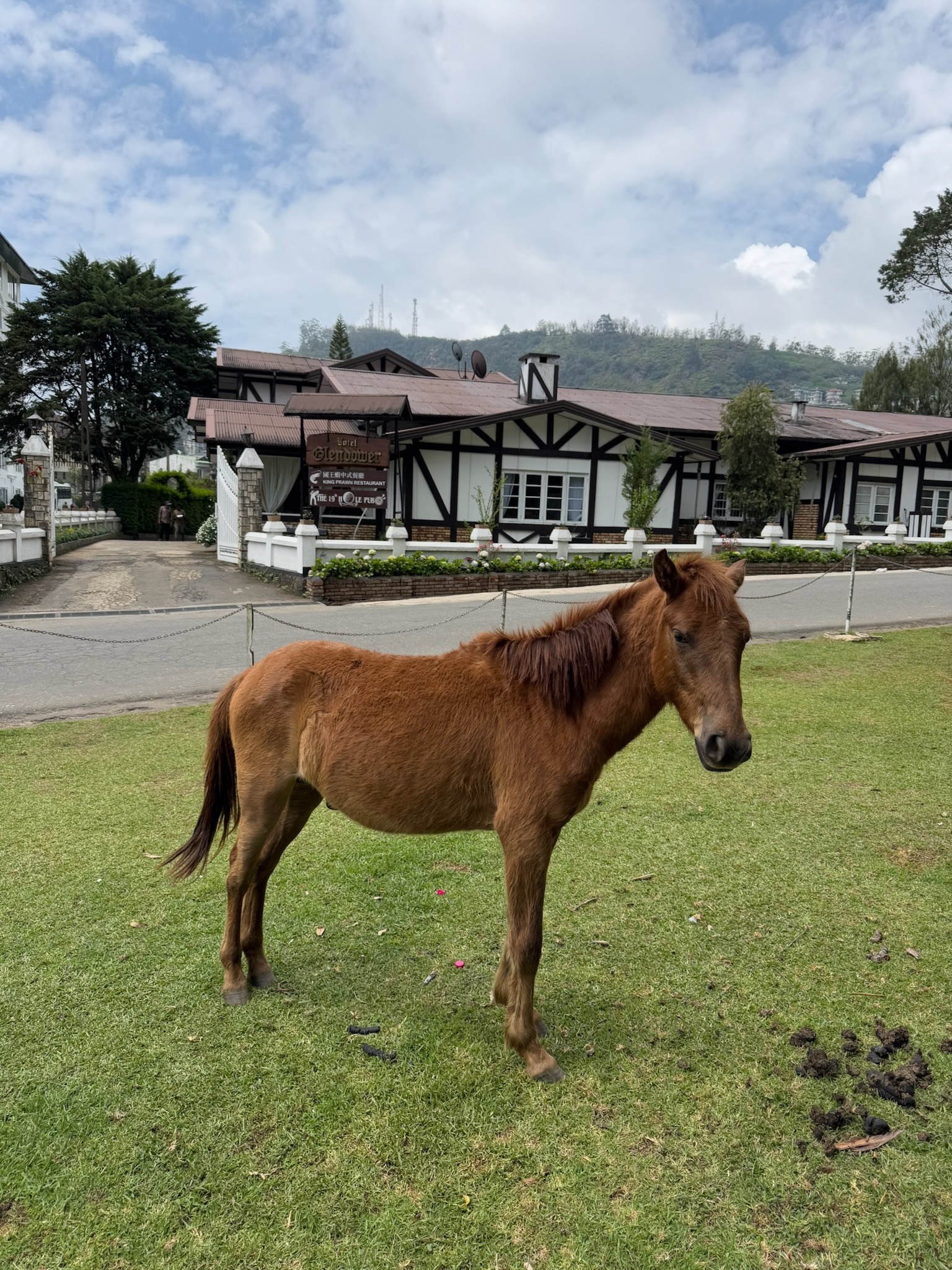 Водопад Диалума, поезд в Нувара Элию