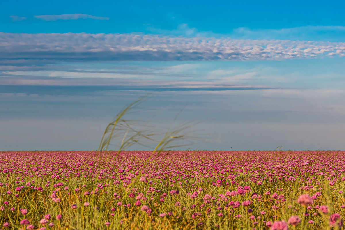 Великолепный Мангистау. Путешествие на другую планету (43/135)