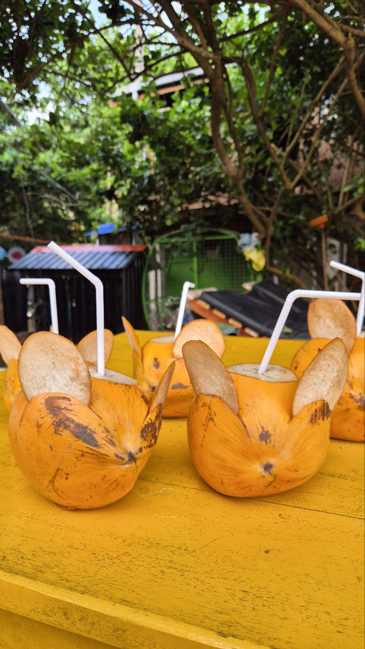 Добро пожаловать на Шри-Ланку