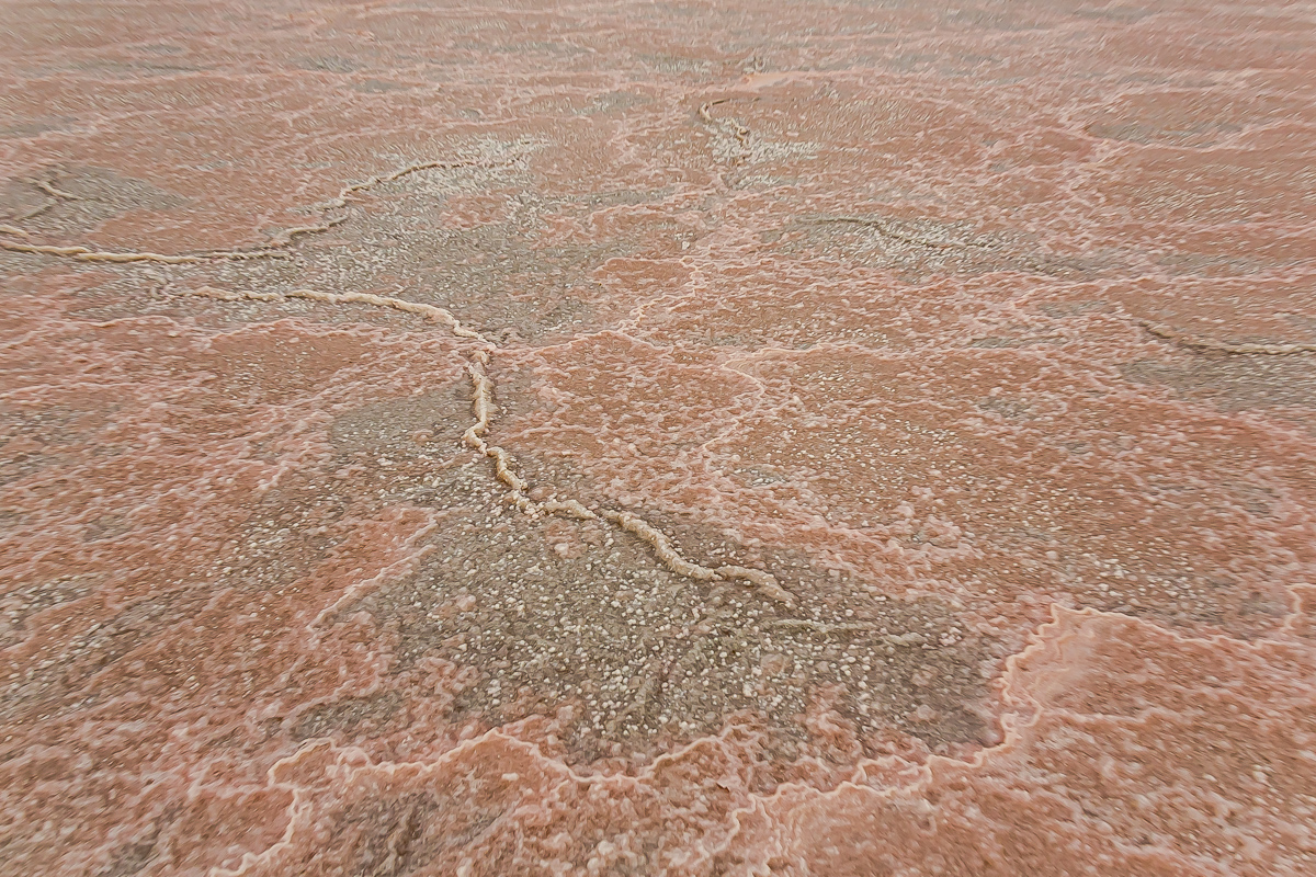 Великолепный Мангистау. Путешествие на другую планету (104/135)