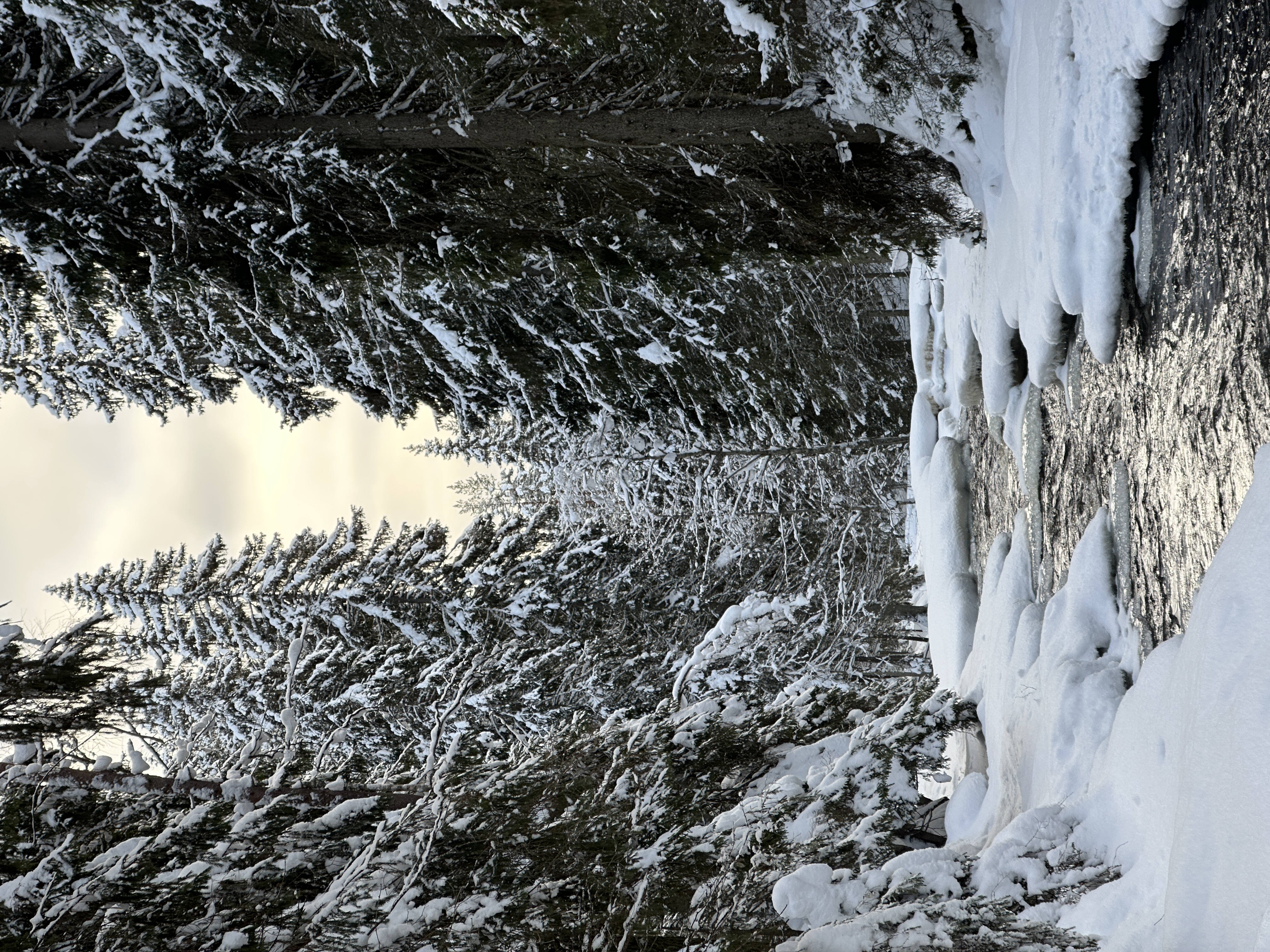Выходные в Карелии: прогулки по шхерам Ладоги и Долина водопадов (13/16)