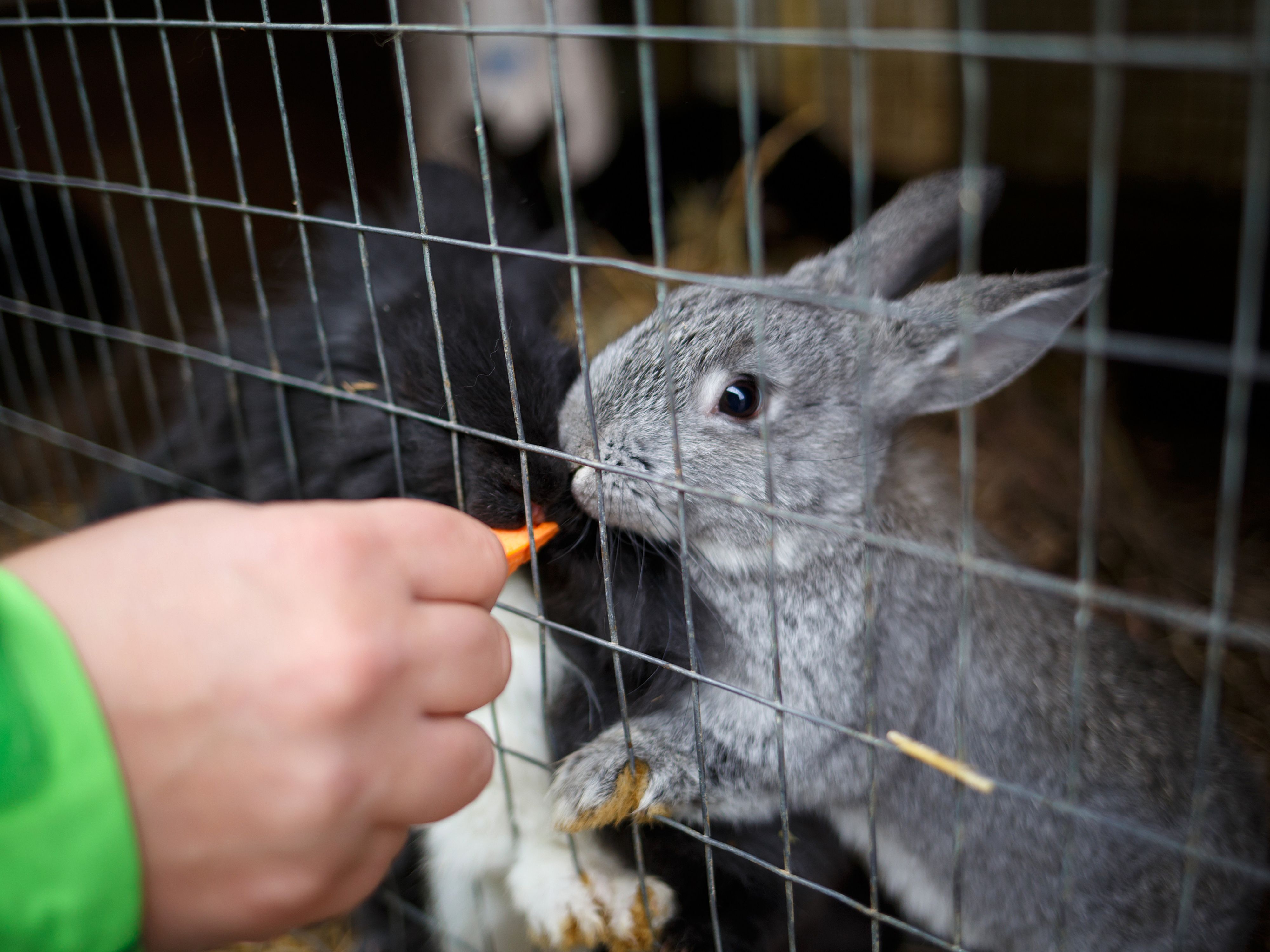 Владивосток и Приморье: свидание с океаном (20/30)