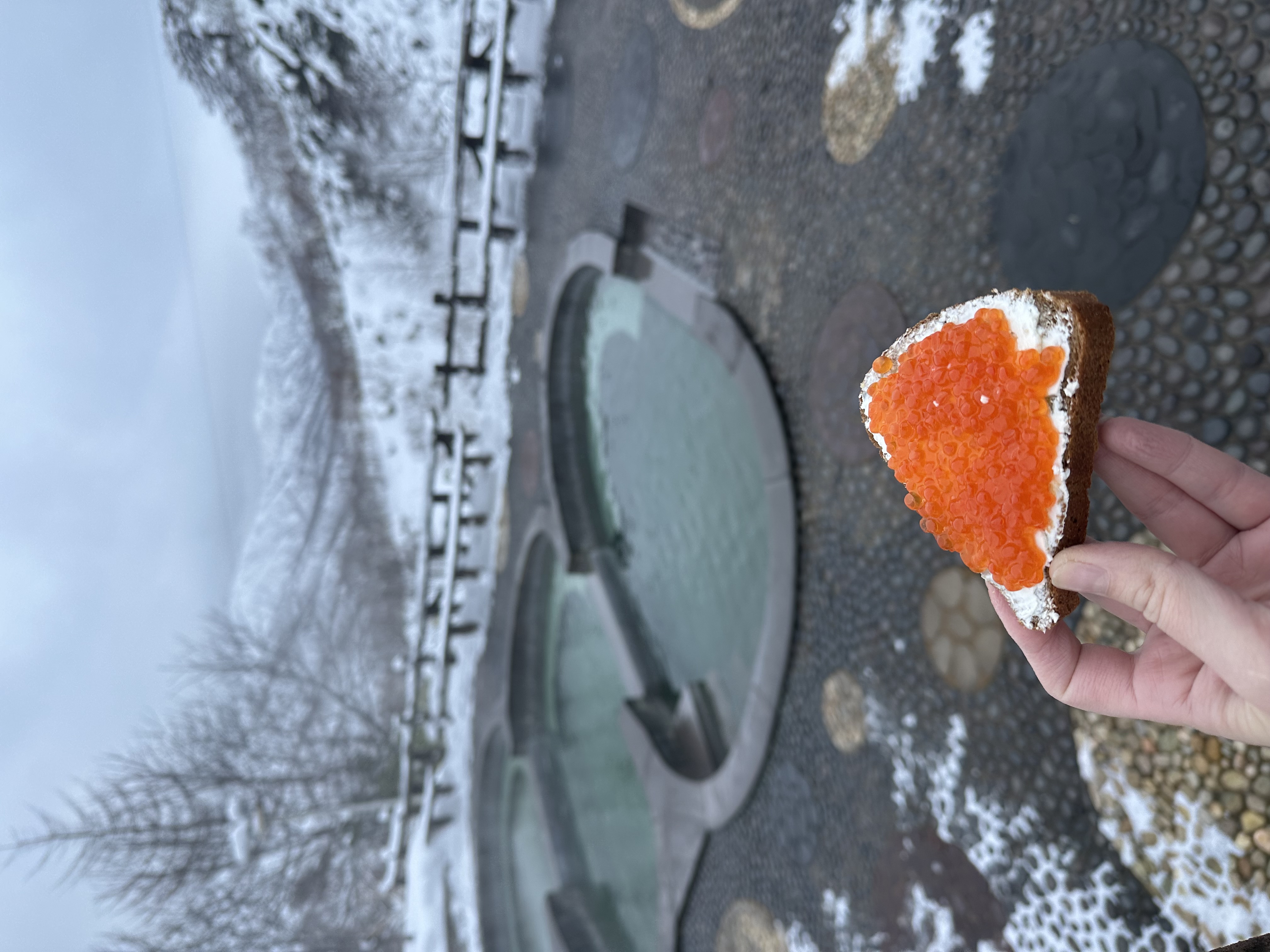 Итуруп. Денежный вулкан